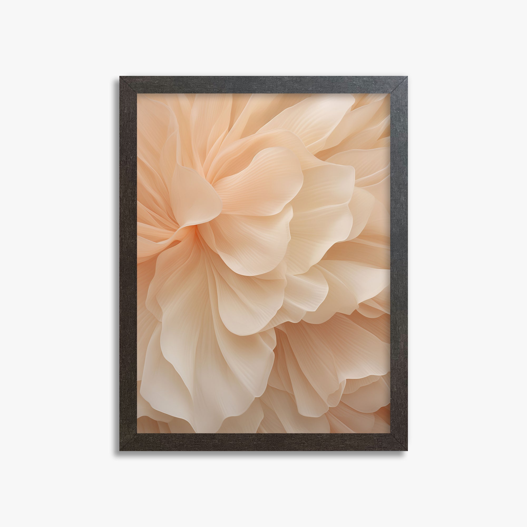 Peony Veil, 30x40cm Framed Art Reproduction With Espresso Frame
