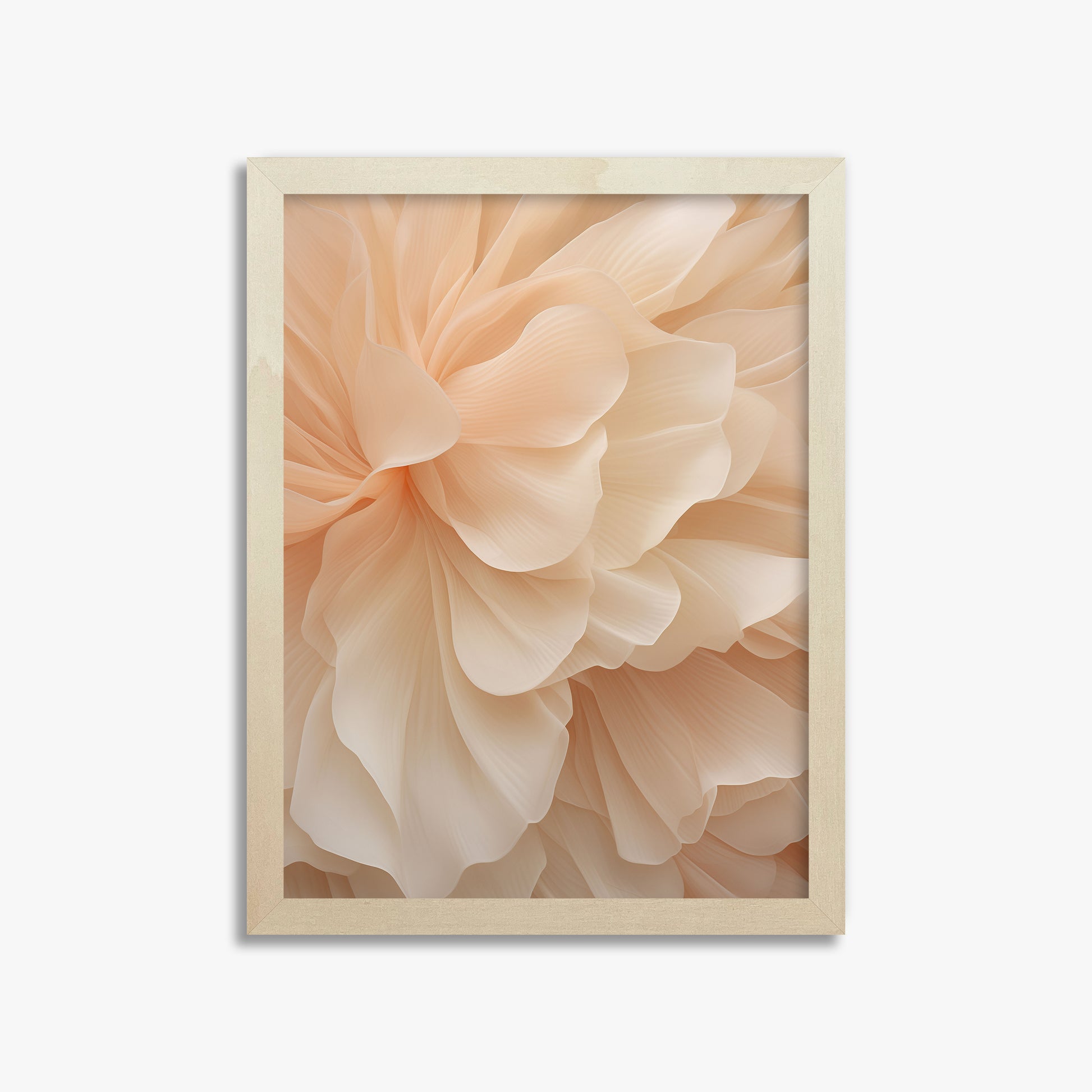 Peony Veil, 30x40cm Framed Art Reproduction With Lime Wood Frame