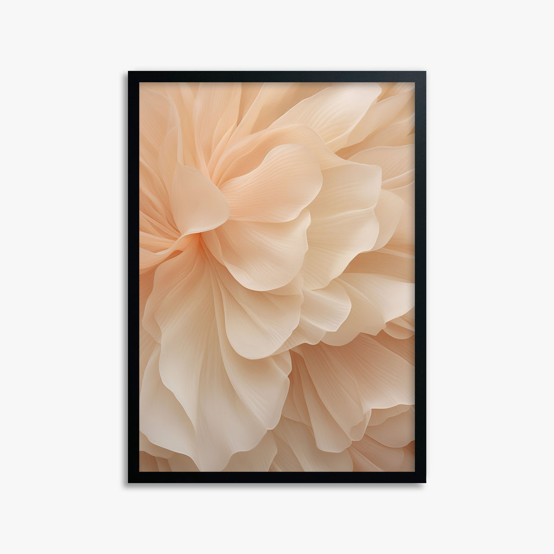 Peony Veil, 50x70cm Framed Poster With Black Frame
