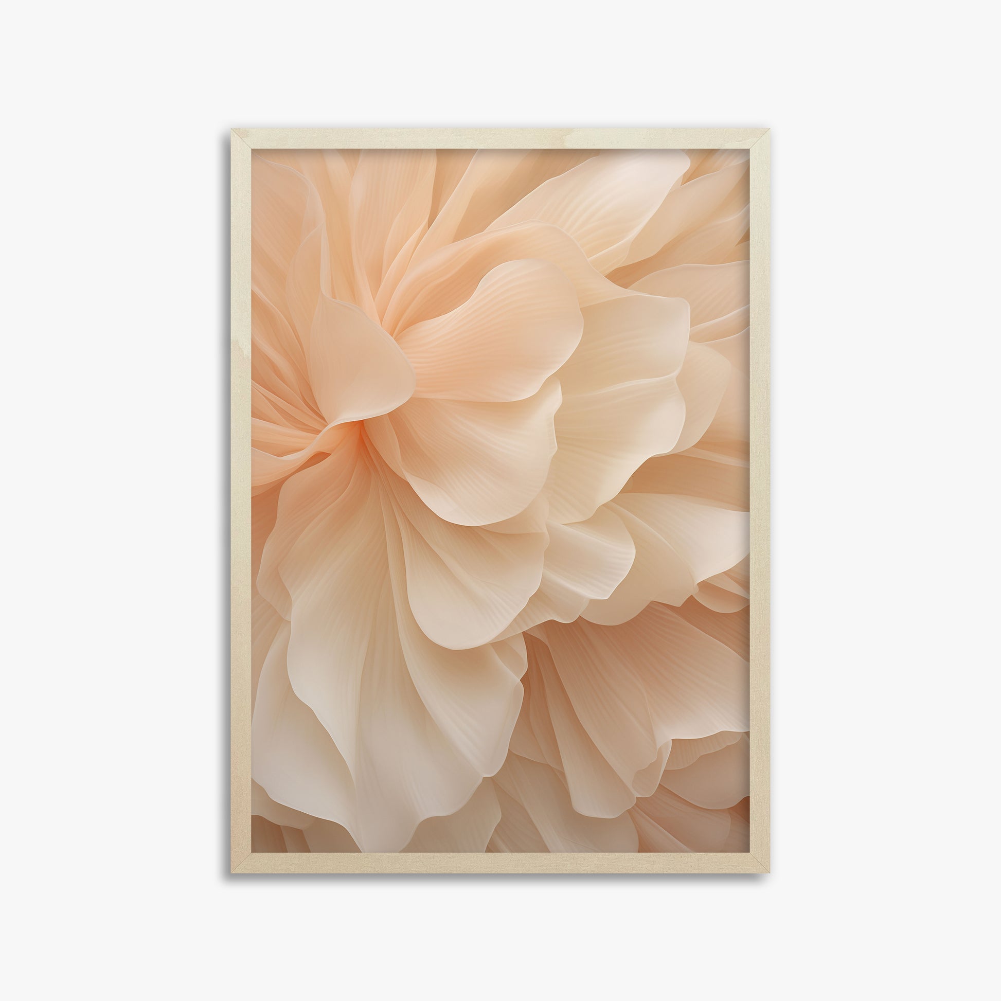Peony Veil, 50x70cm Framed Art Reproduction With Lime Wood Frame
