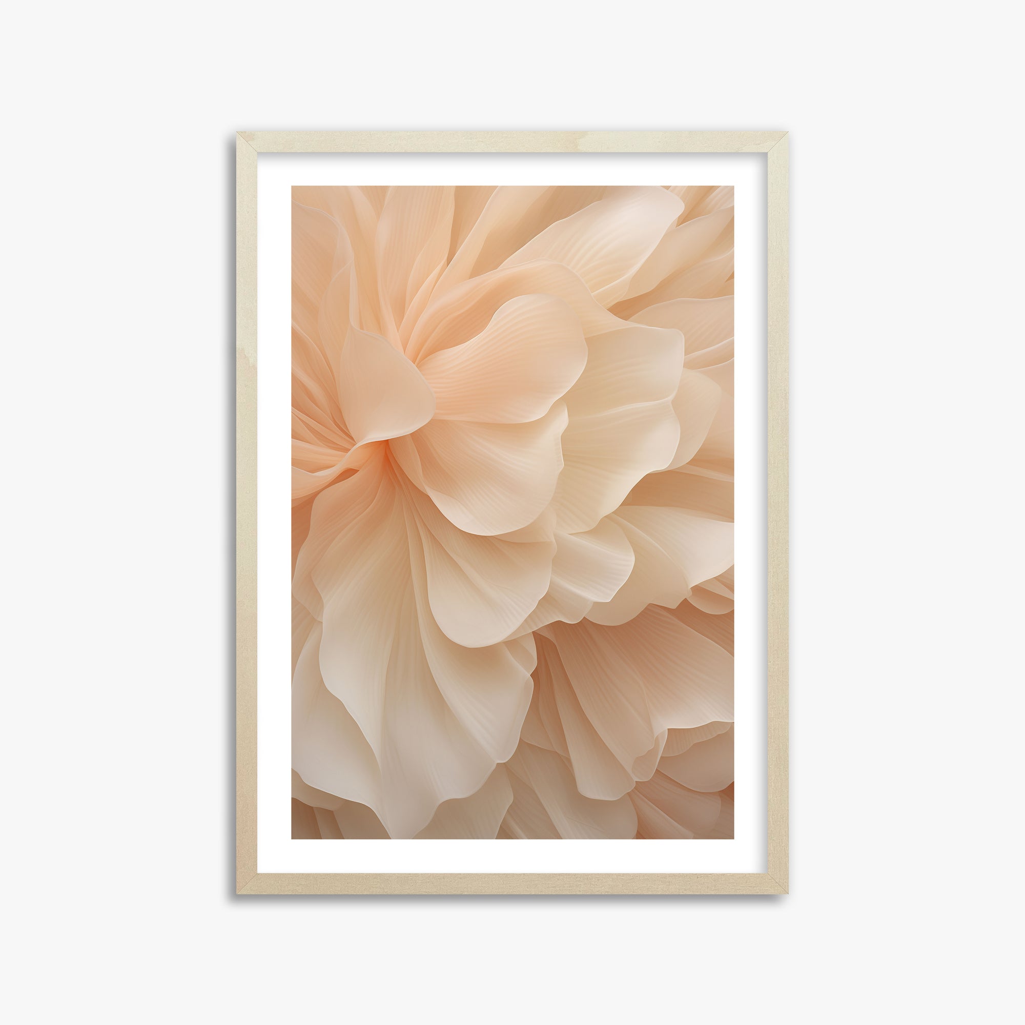 Peony Veil, 50x70cm Framed Art Reproduction With Lime Wood Frame