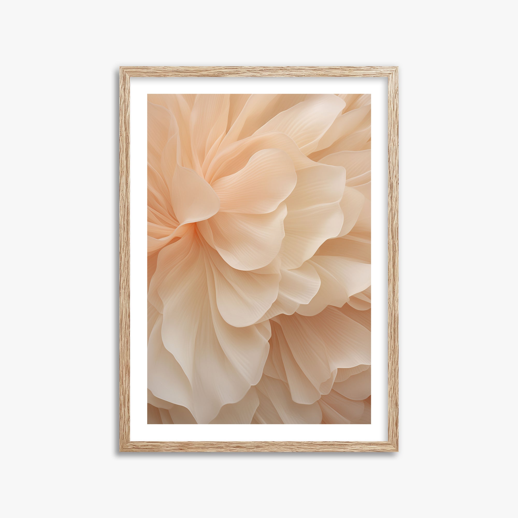 Peony Veil, 50x70cm Framed Art Reproduction With Raw Oak Frame