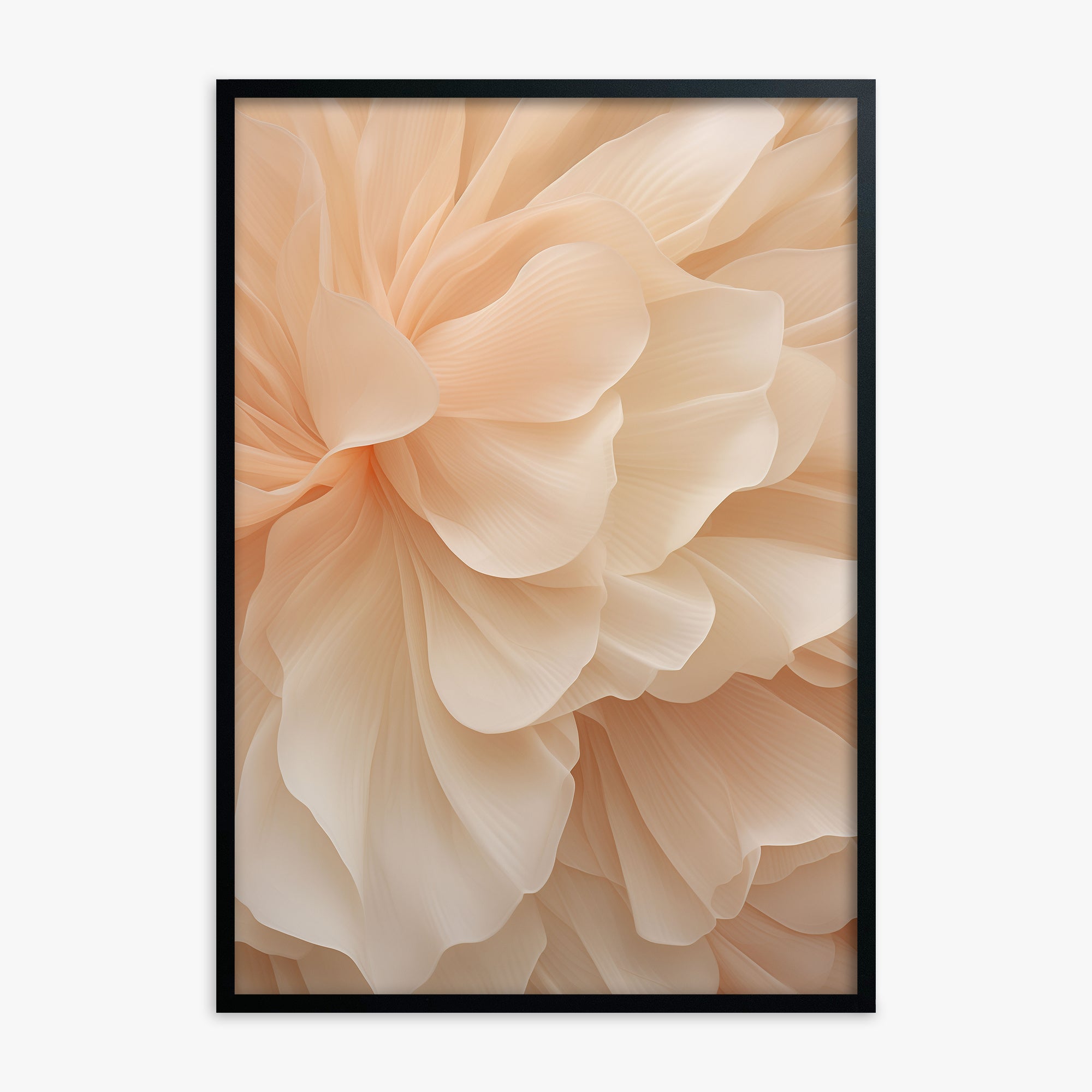Peony Veil, Black Framed Poster With Black Frame