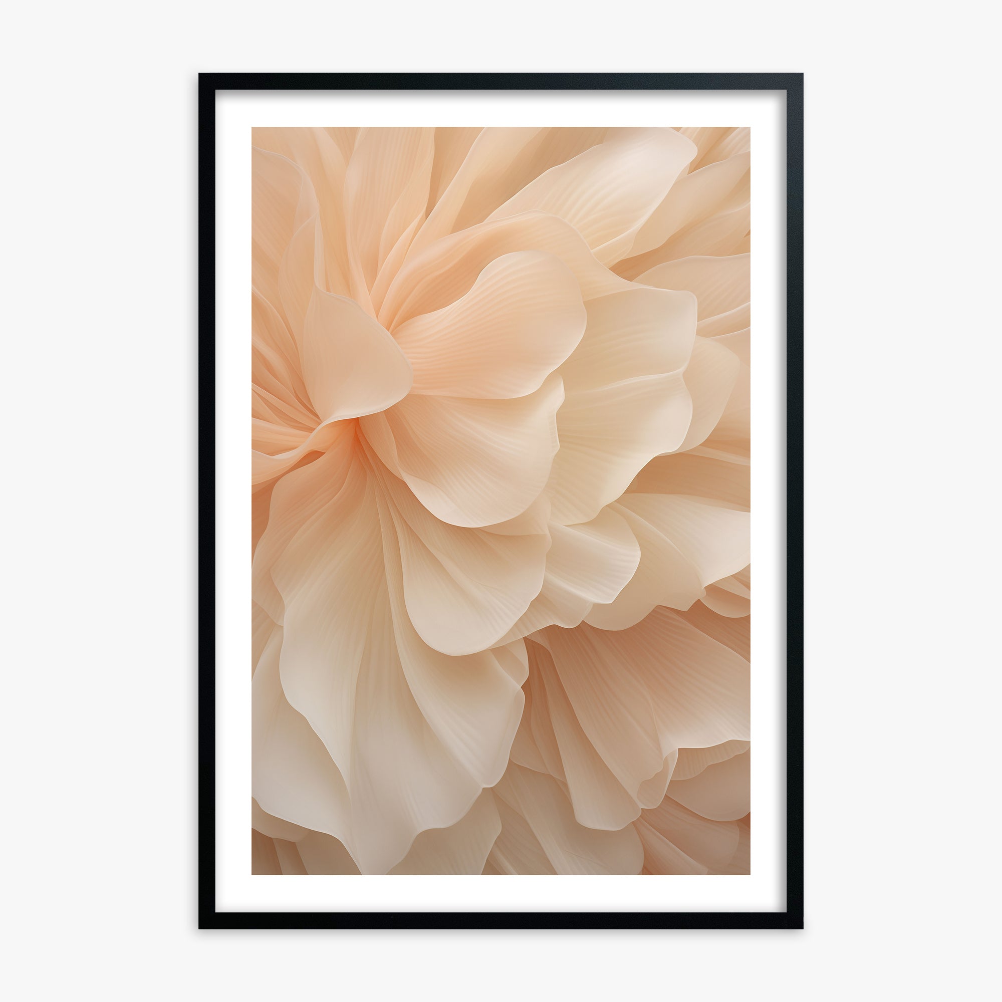 Peony Veil, Black Framed Poster With Black Frame