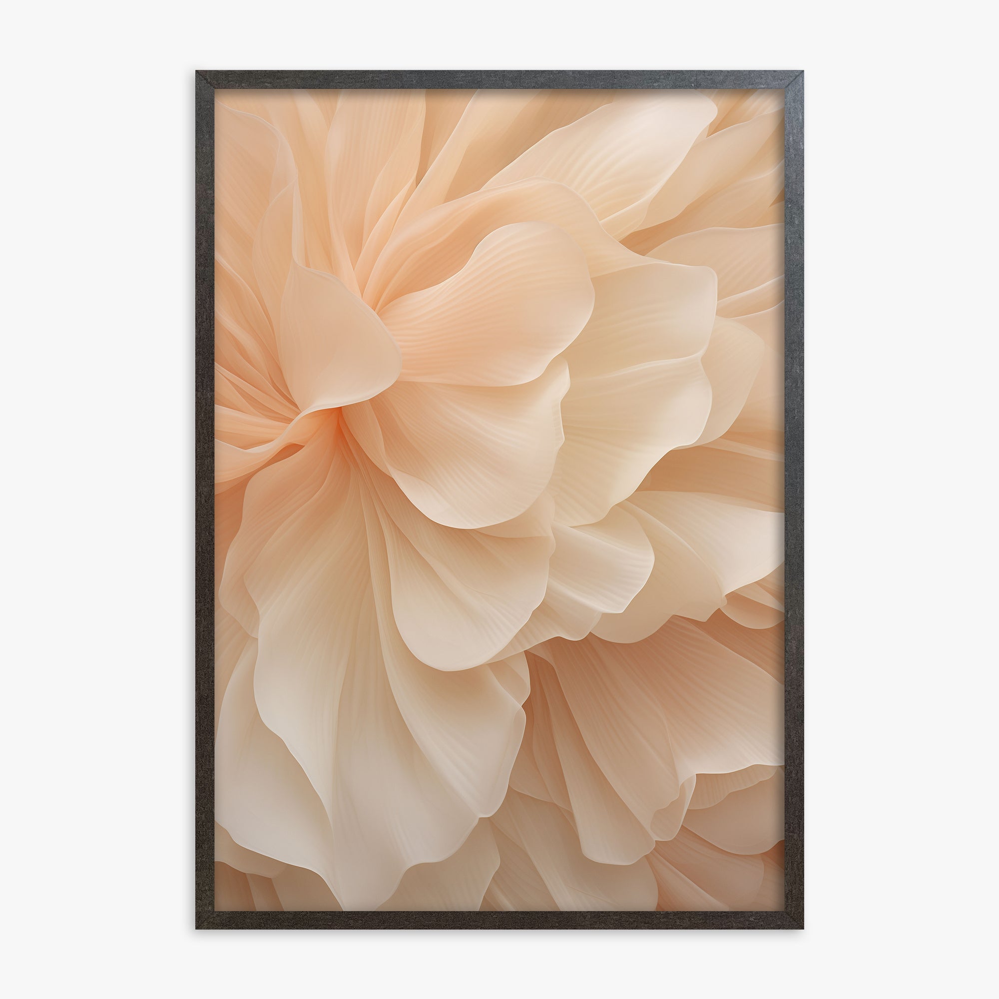 Peony Veil, 70x100cm Framed Art Reproduction With Espresso Frame