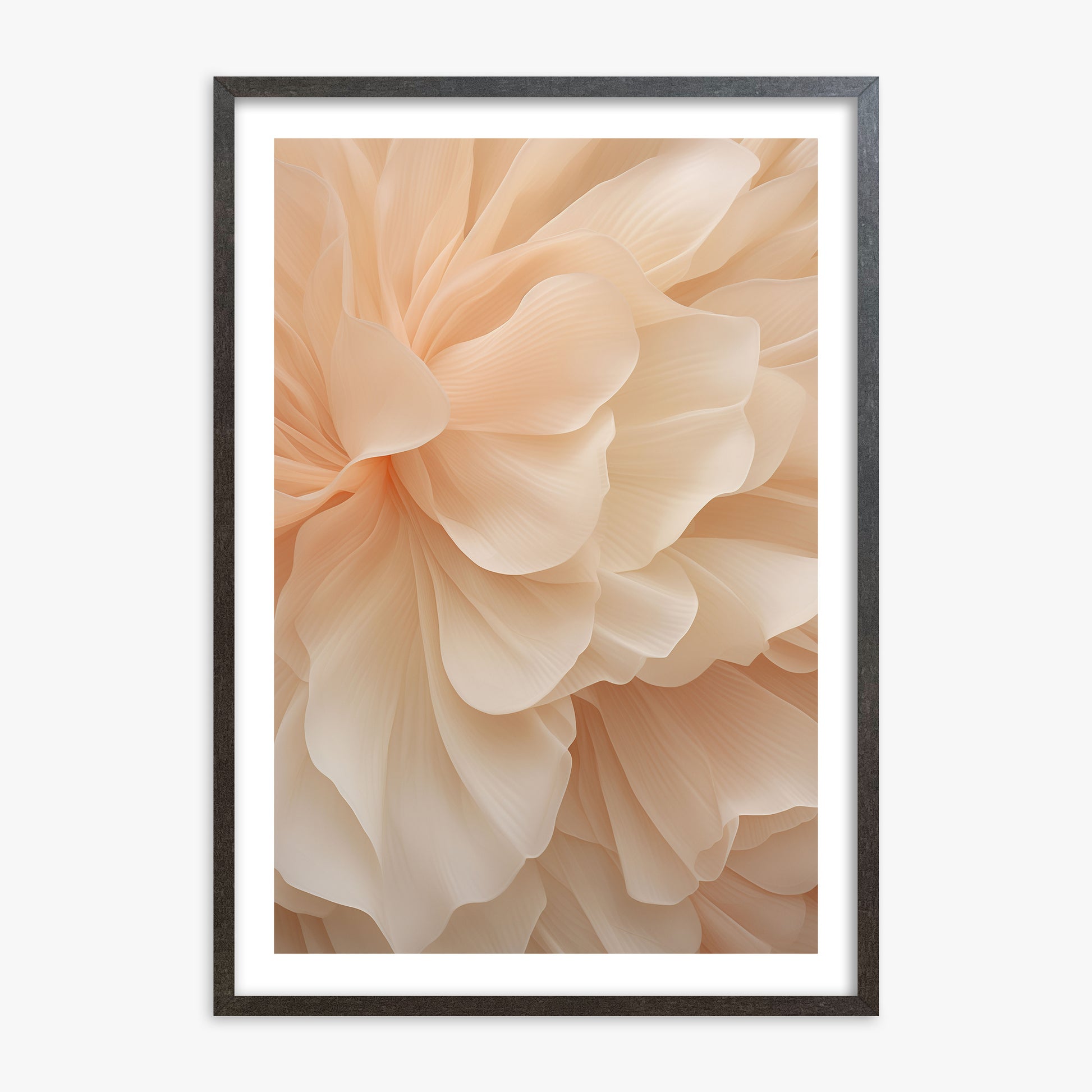 Peony Veil, 70x100cm Framed Art Reproduction With Espresso Frame
