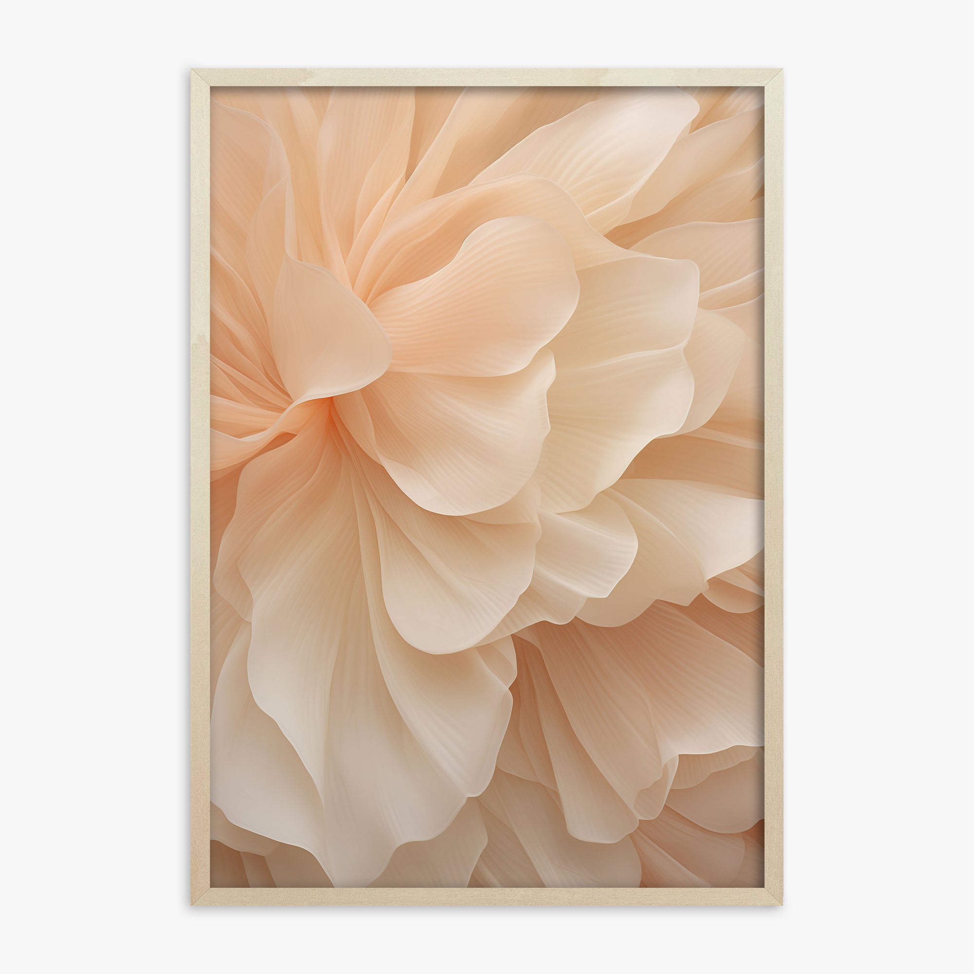 Peony Veil, 70x100cm Framed Art Reproduction With Lime Wood Frame