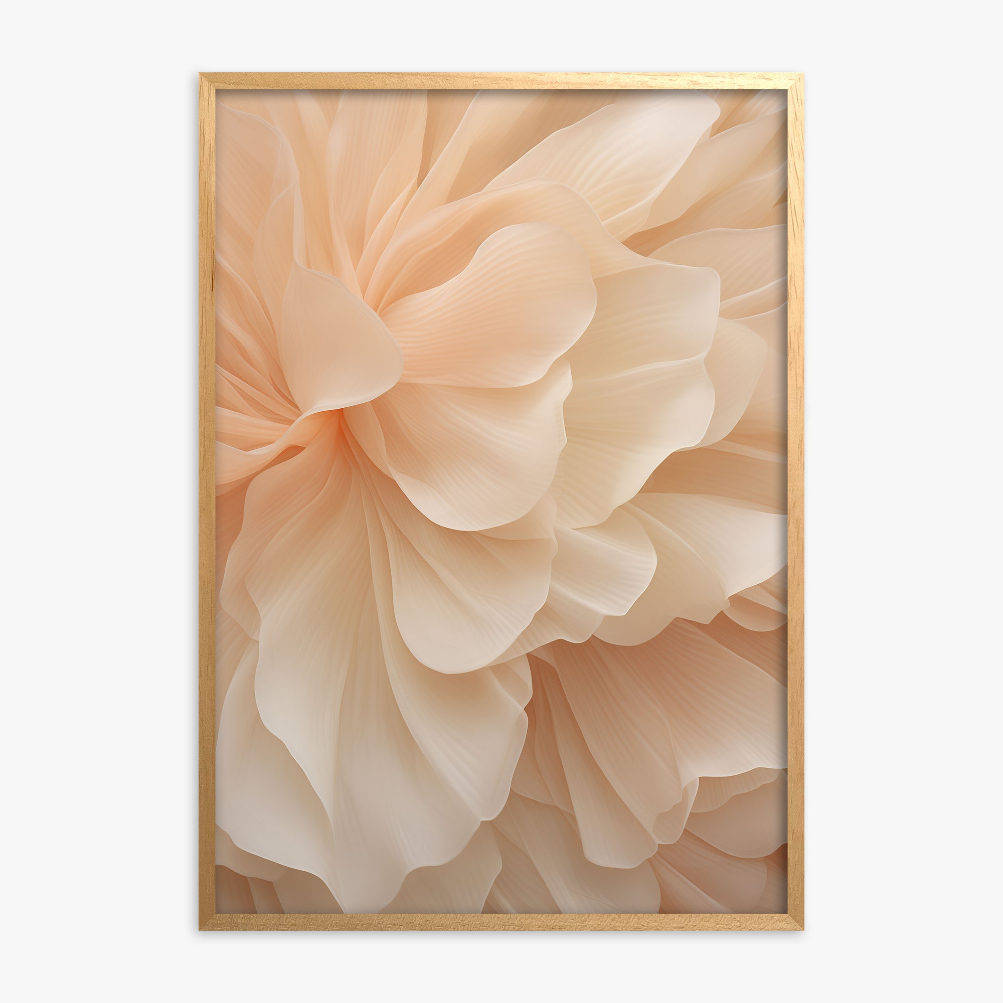 Peony Veil, Oak Framed Poster With Oak Frame