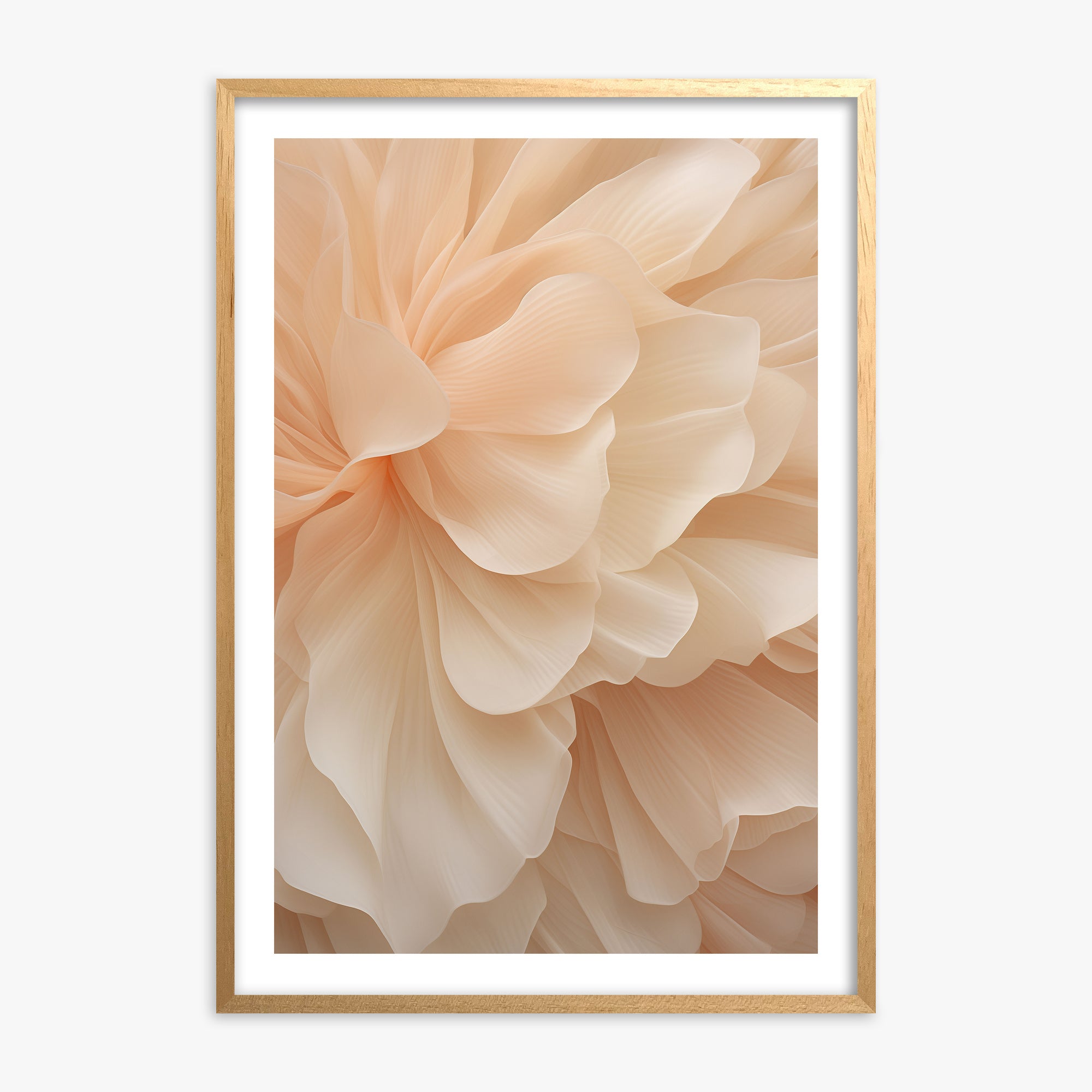 Peony Veil, Oak Framed Poster With Oak Frame