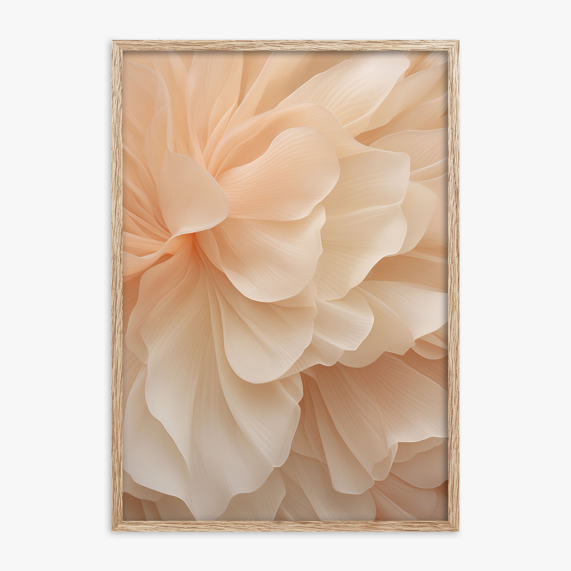 Peony Veil, 70x100cm Framed Art Reproduction With Raw Oak Frame