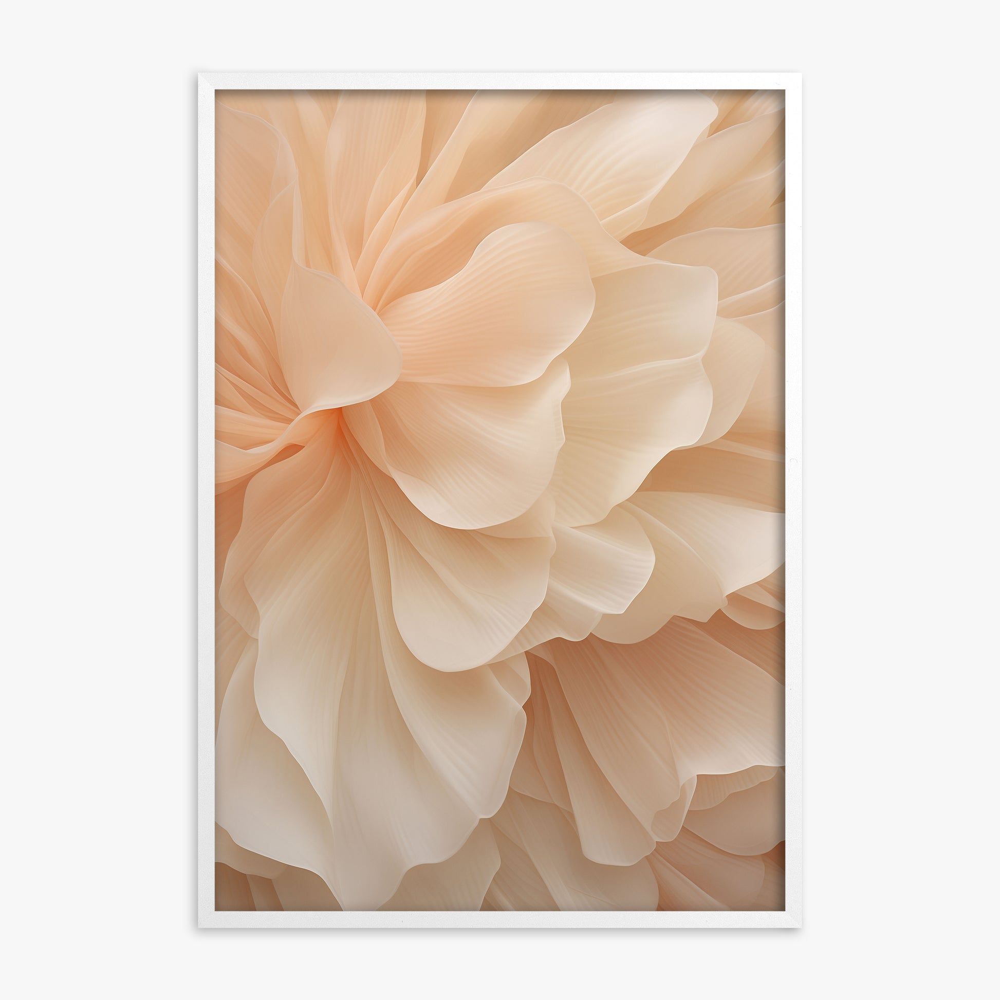 Peony Veil, White Framed Poster With White Frame