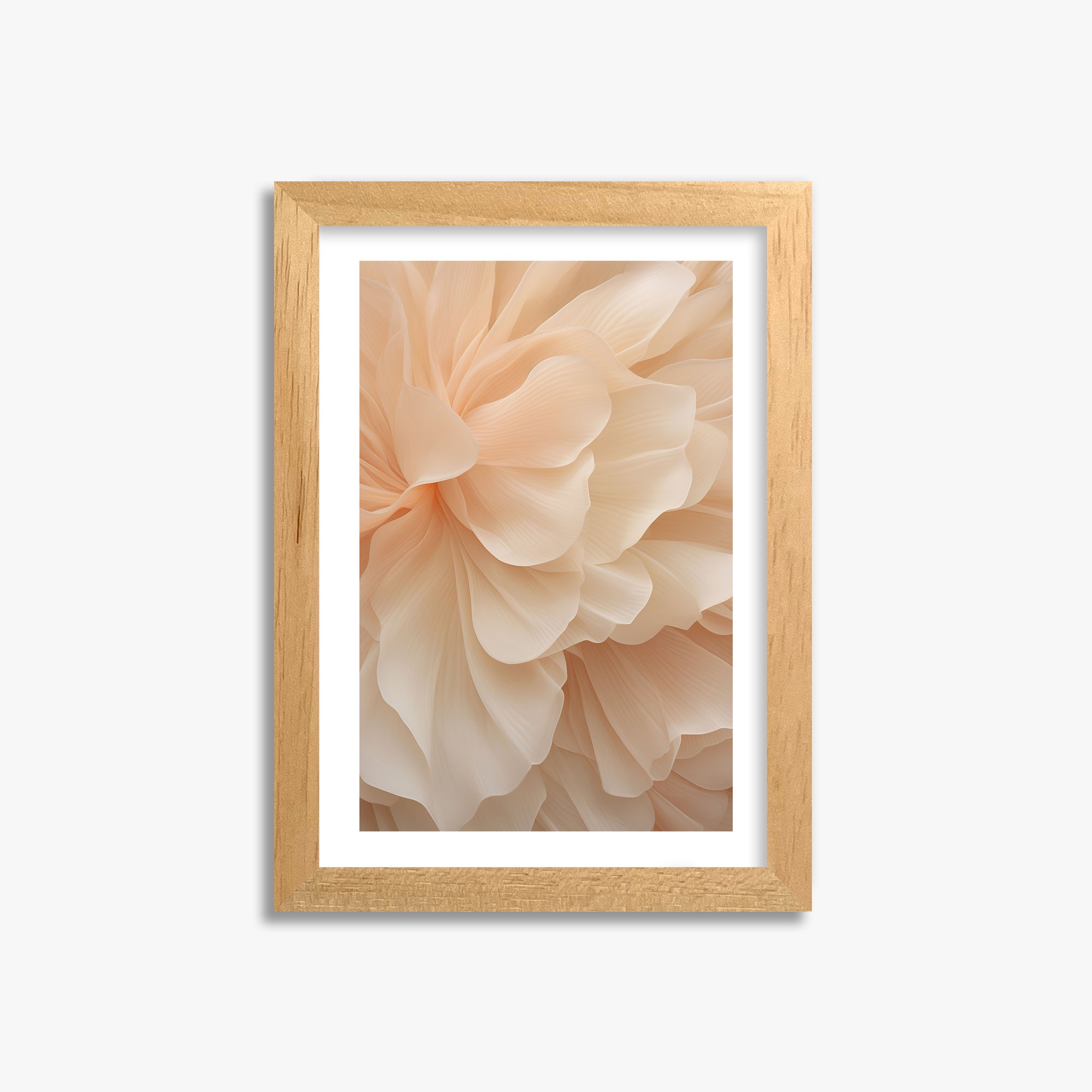 Peony Veil, 21x30cm Oak Framed Art Reproduction