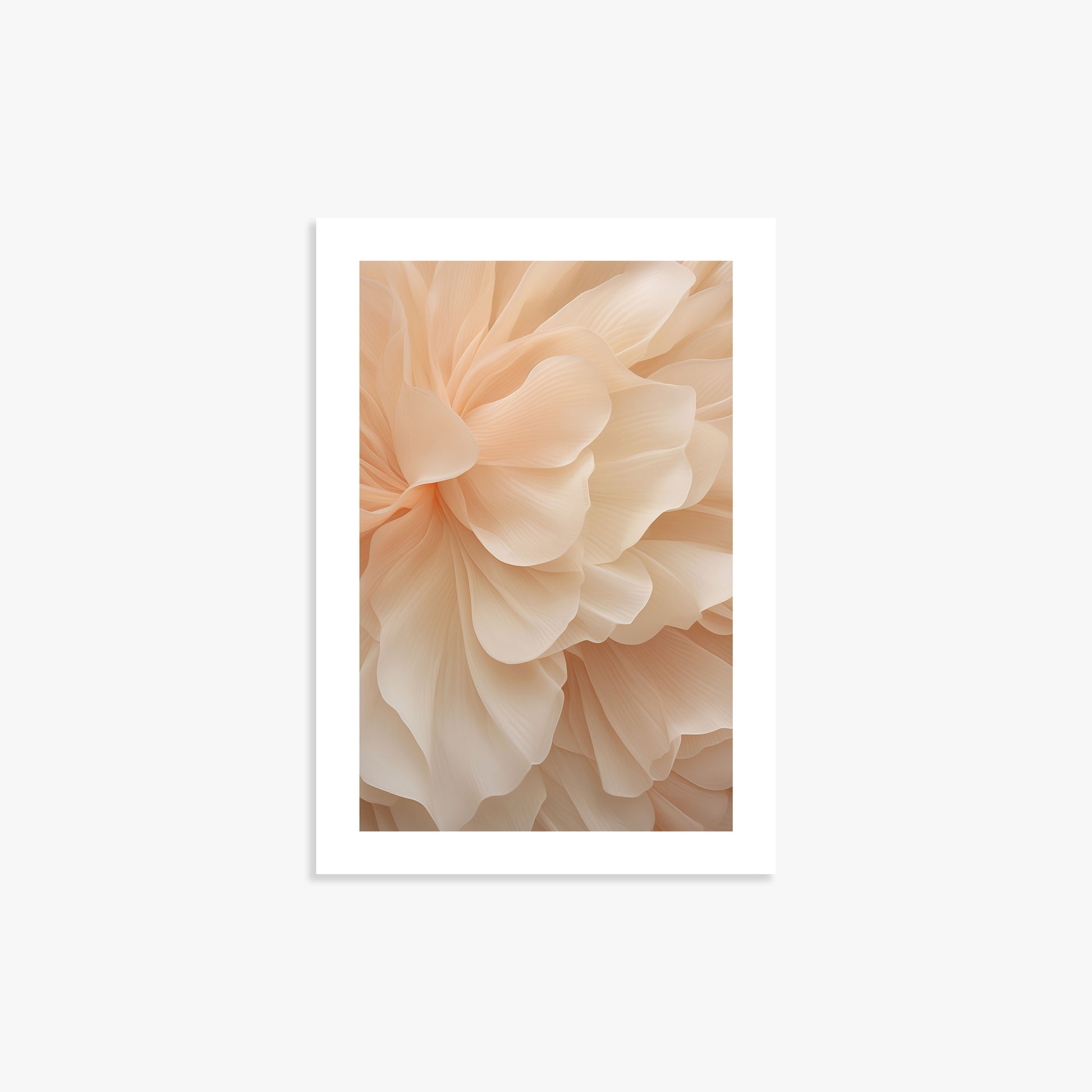 Peony Veil, 21x30cm Printed Poster