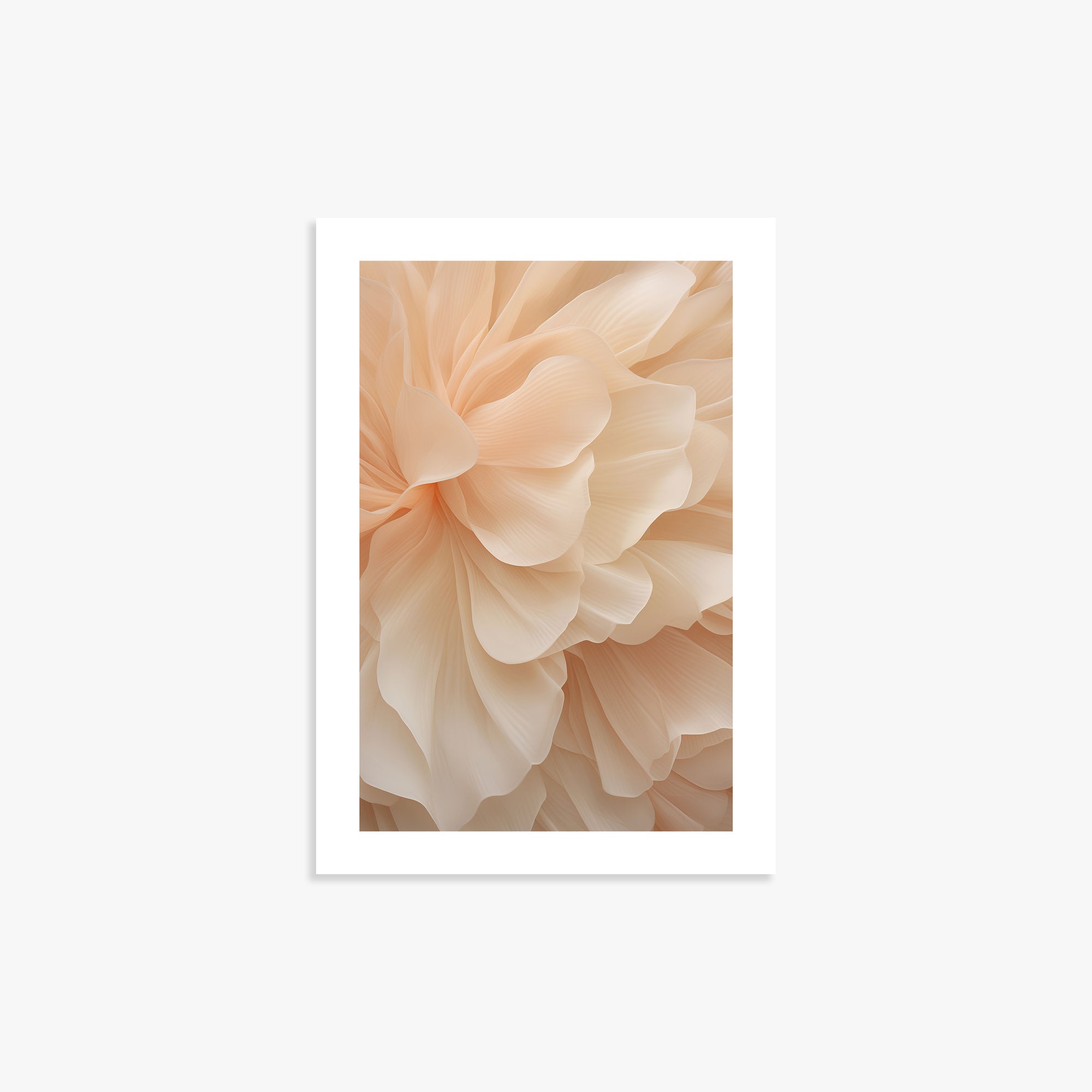 Peony Veil, 21x30cm Printed Poster