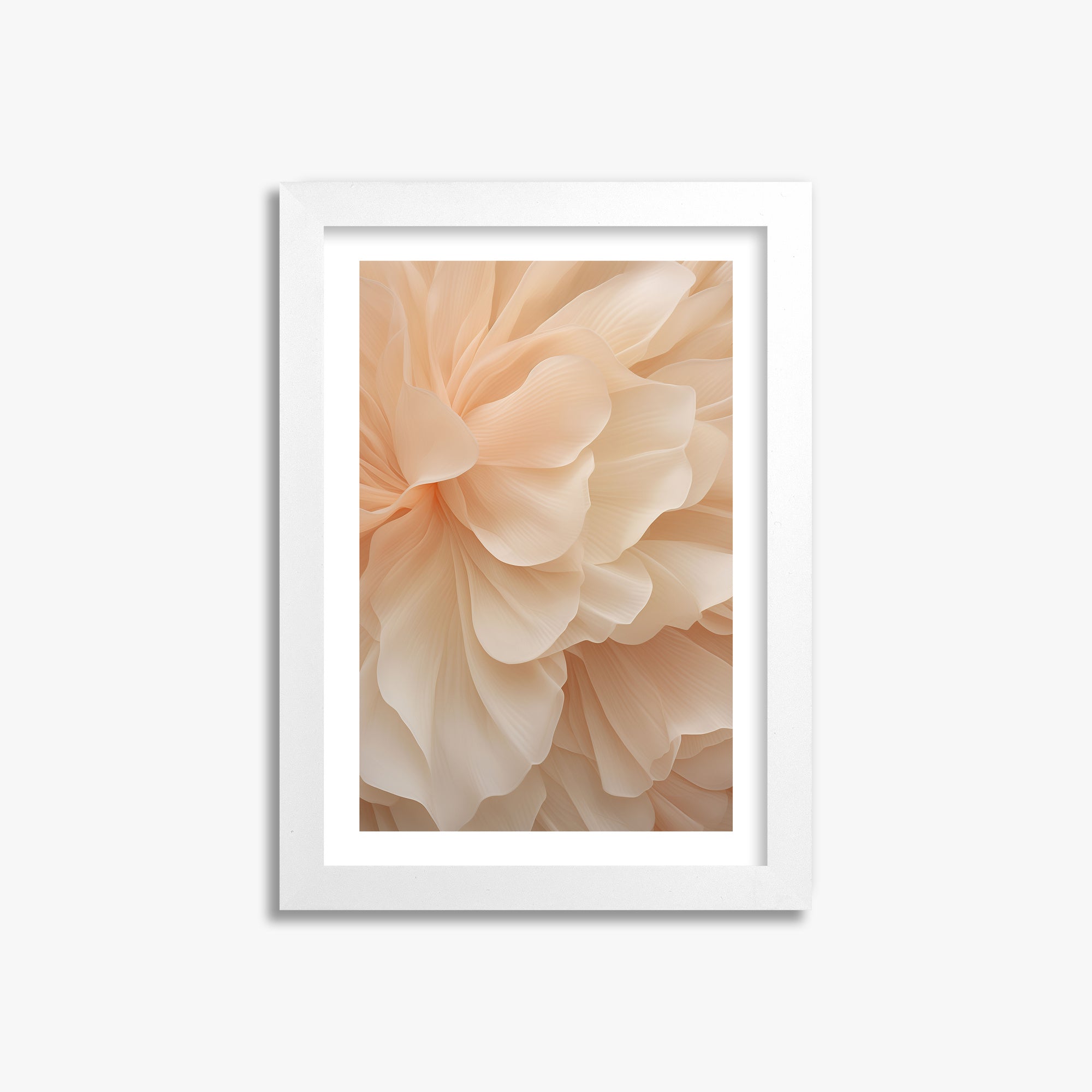 Peony Veil, 21x30cm Whitek Framed Art Reproduction