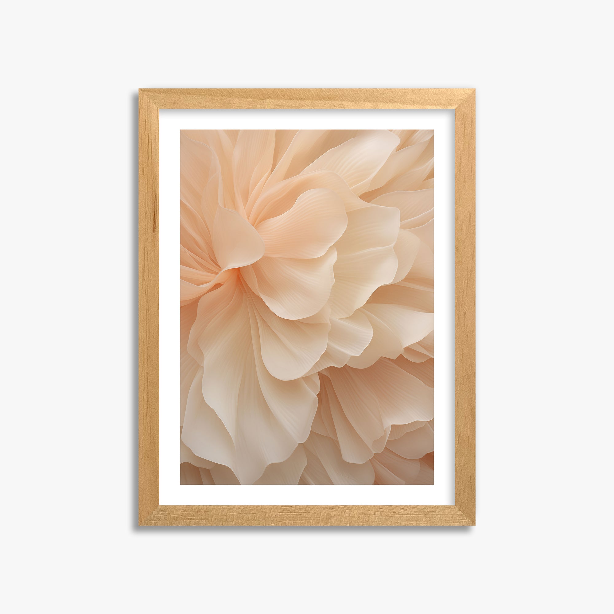 Peony Veil, 30x40cm Oak Framed Art Reproduction