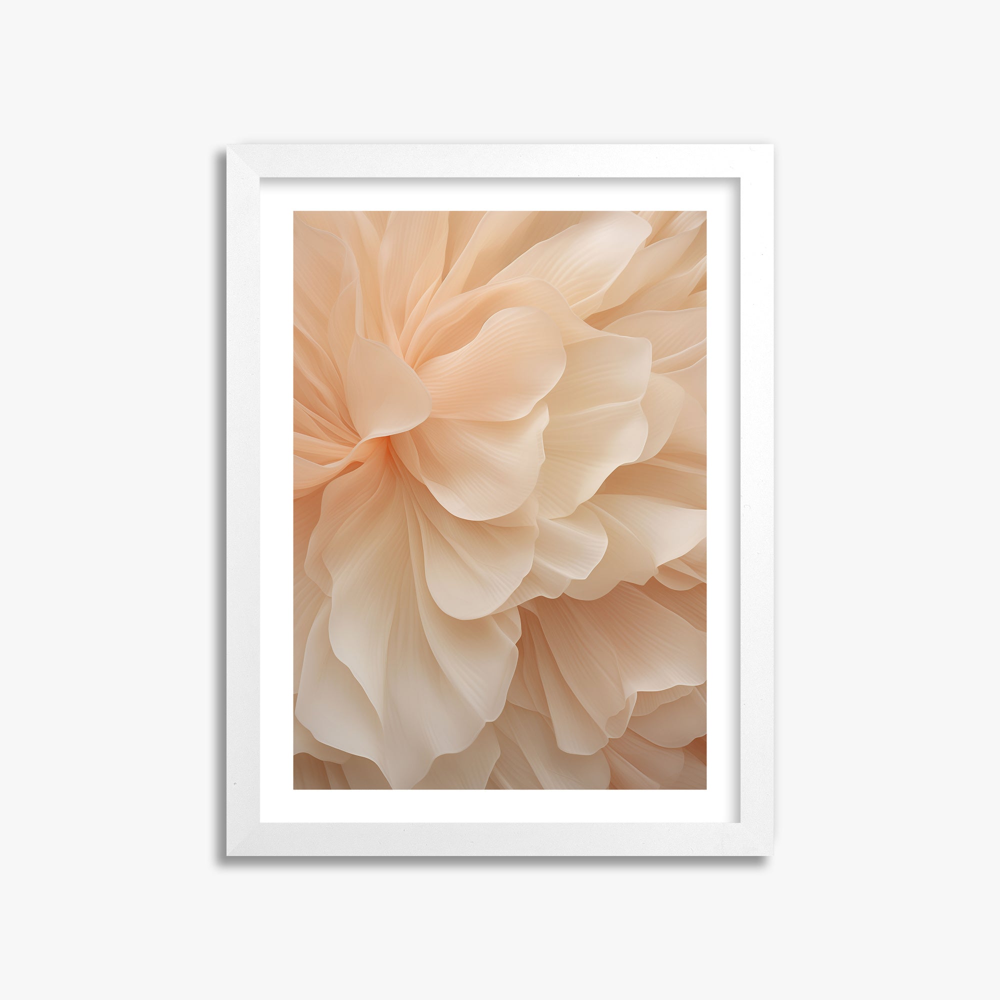 Peony Veil, 30x40cm Whitek Framed Art Reproduction