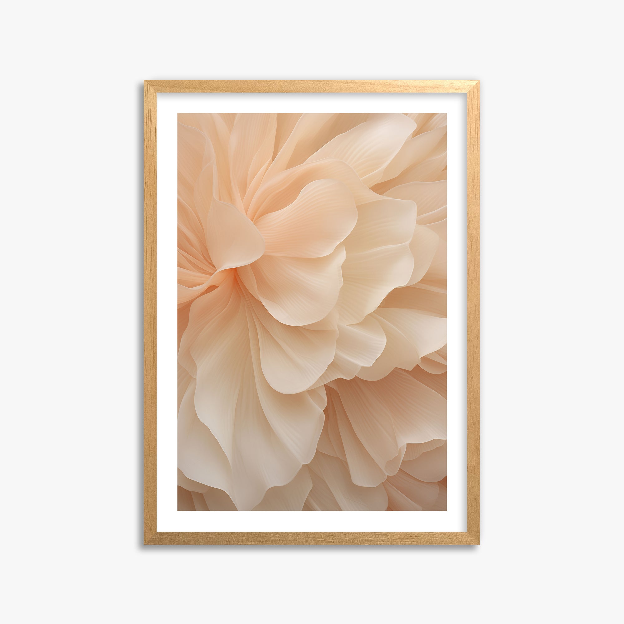 Peony Veil, 50x70cm Oak Framed Art Reproduction