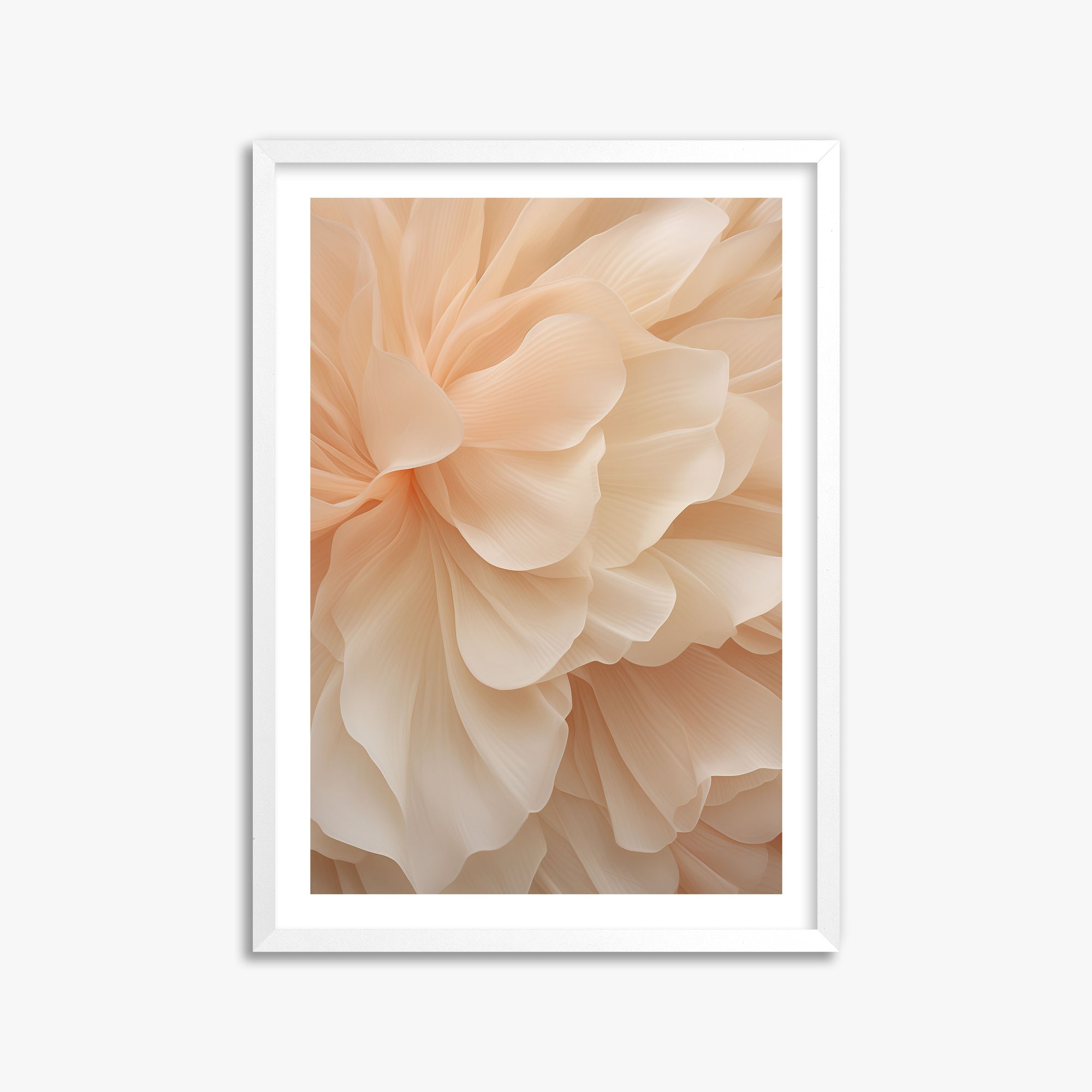 Peony Veil, 50x70cm Whitek Framed Art Reproduction