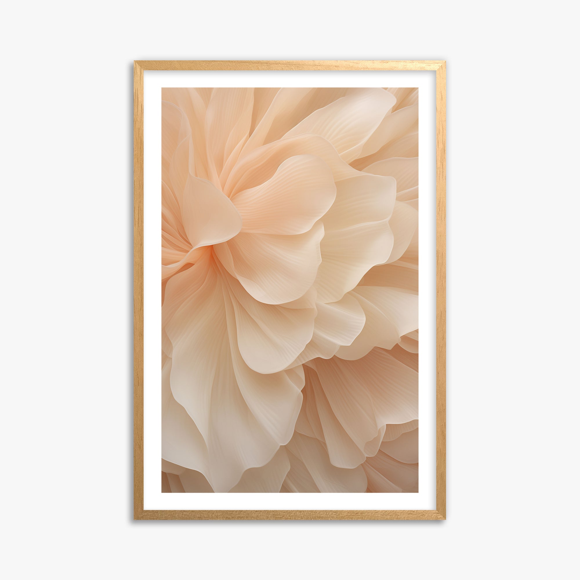 Peony Veil, 61x91cm Oak Framed Art Reproduction