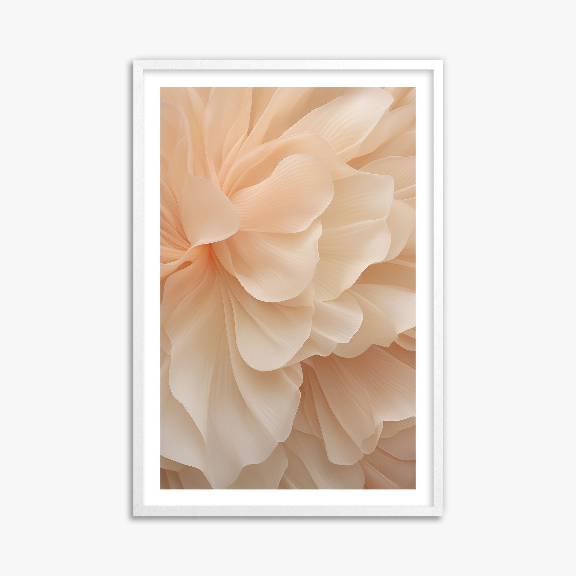 Peony Veil, 61x91cm Whitek Framed Art Reproduction