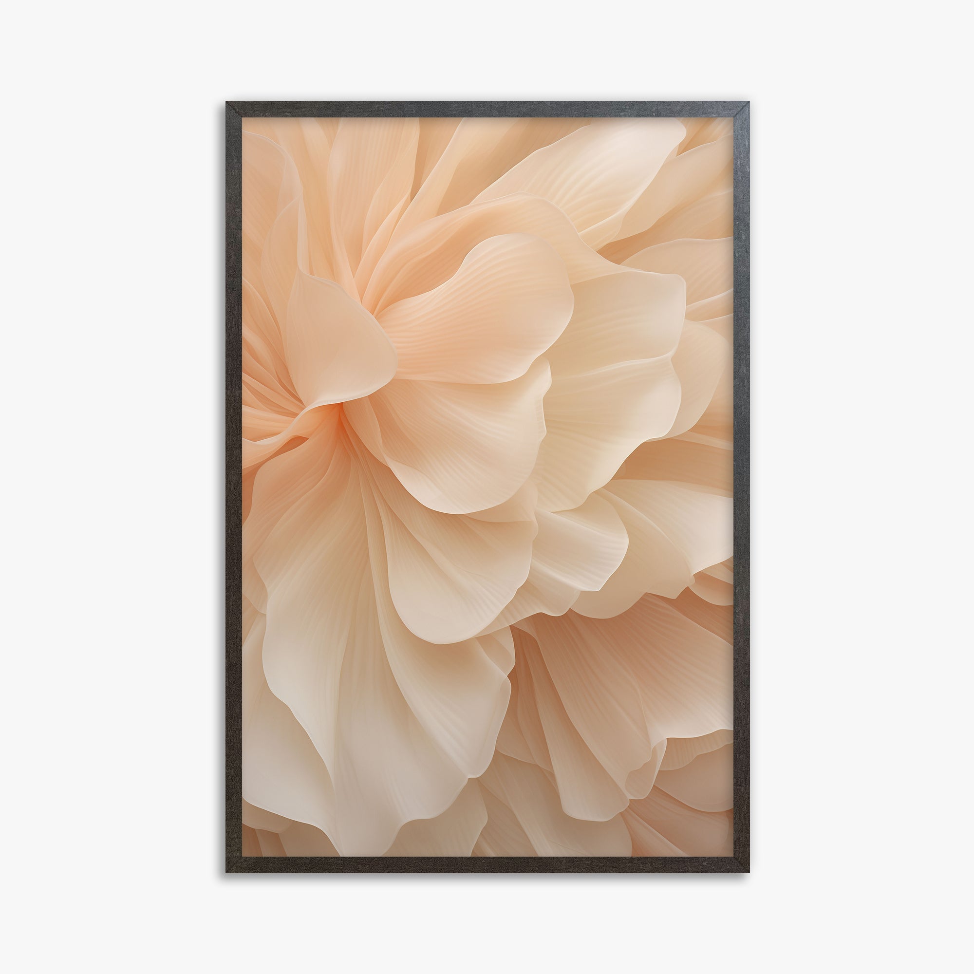 Velo di peonia