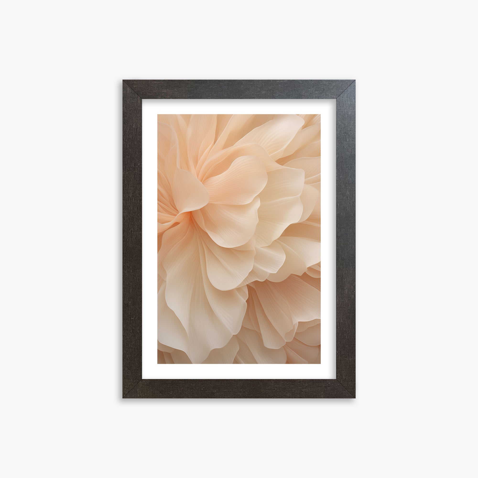 Velo di peonia