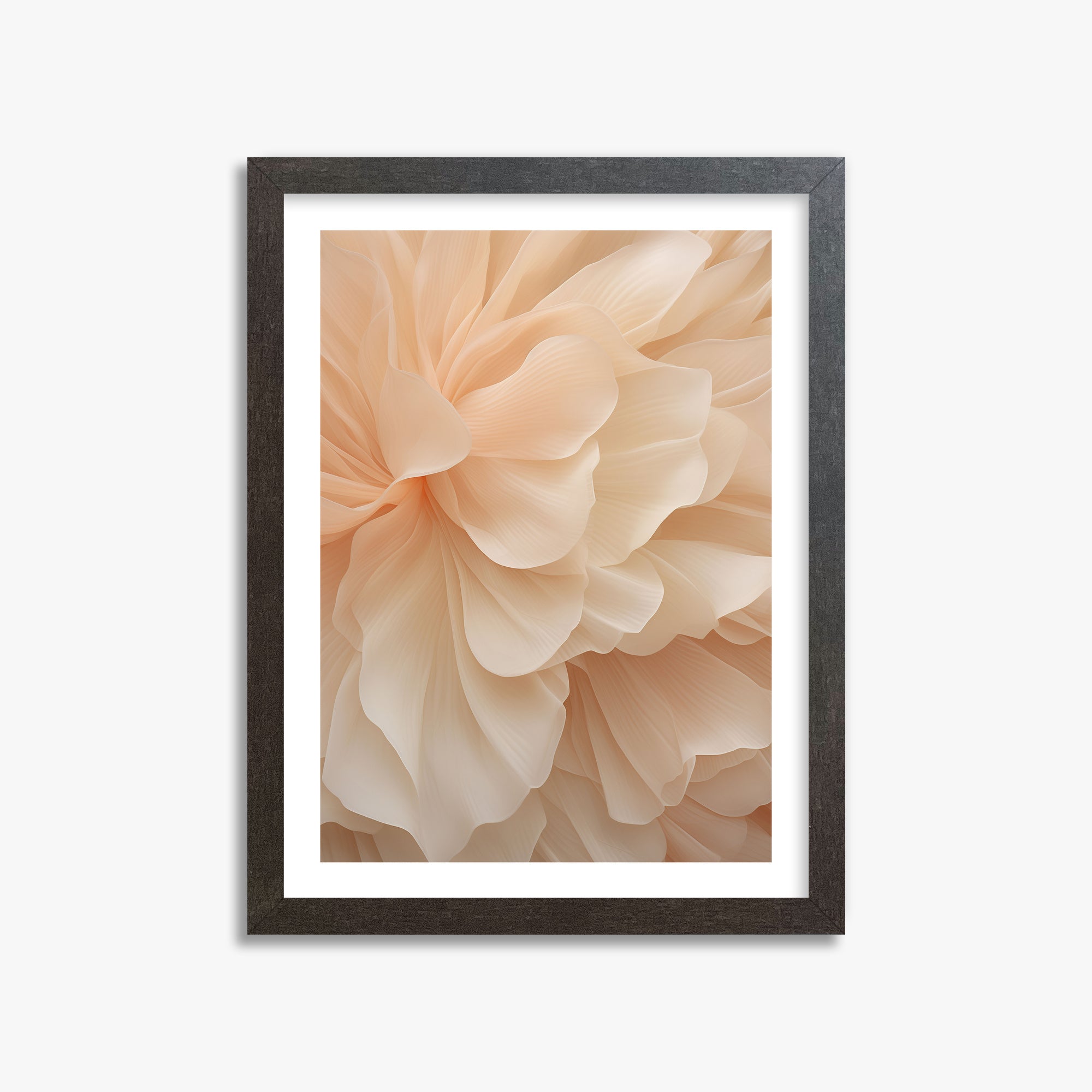 Velo di peonia