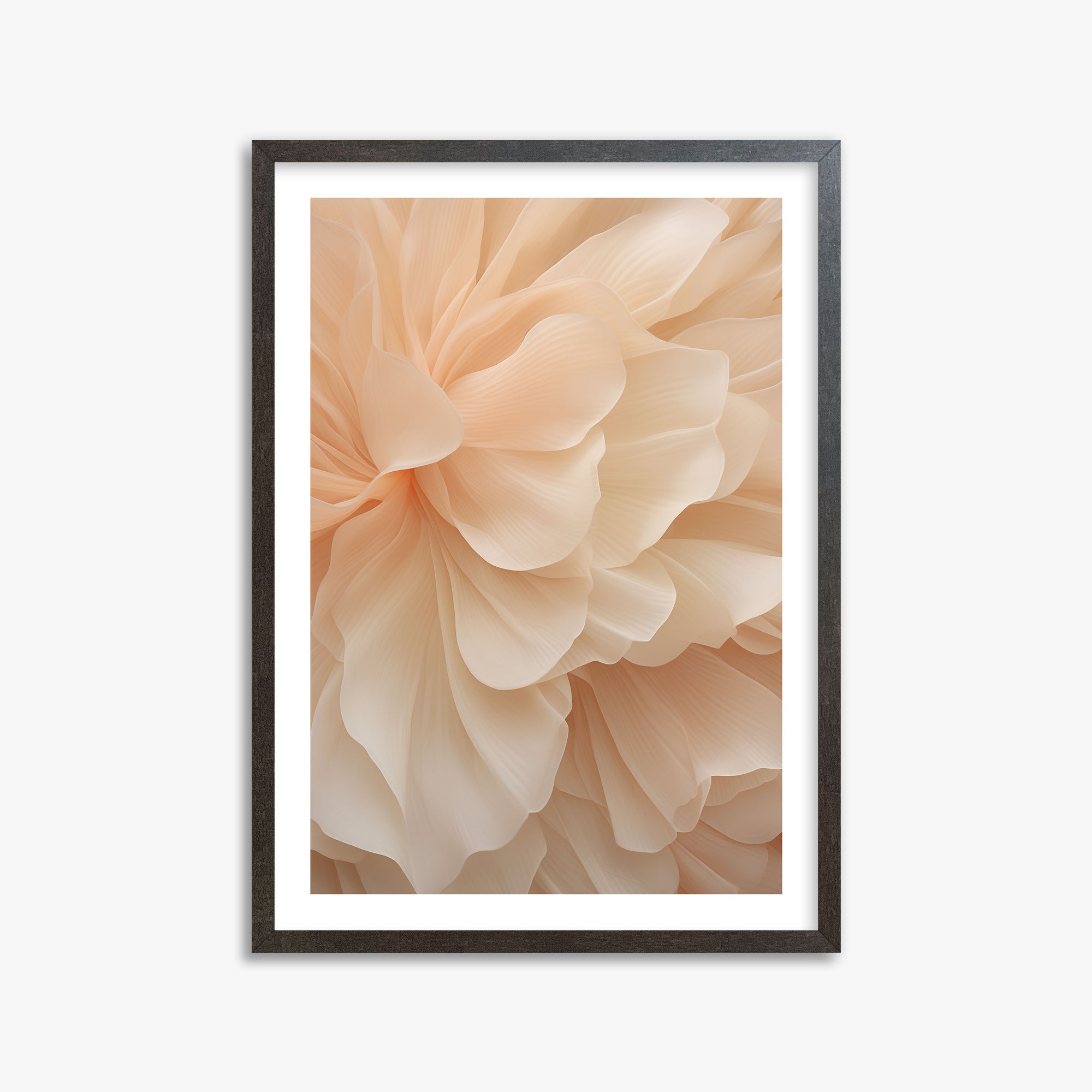 Velo di peonia