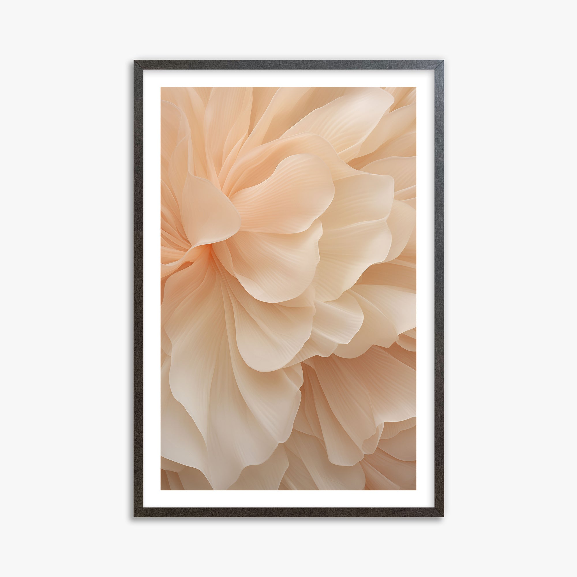 Velo di peonia