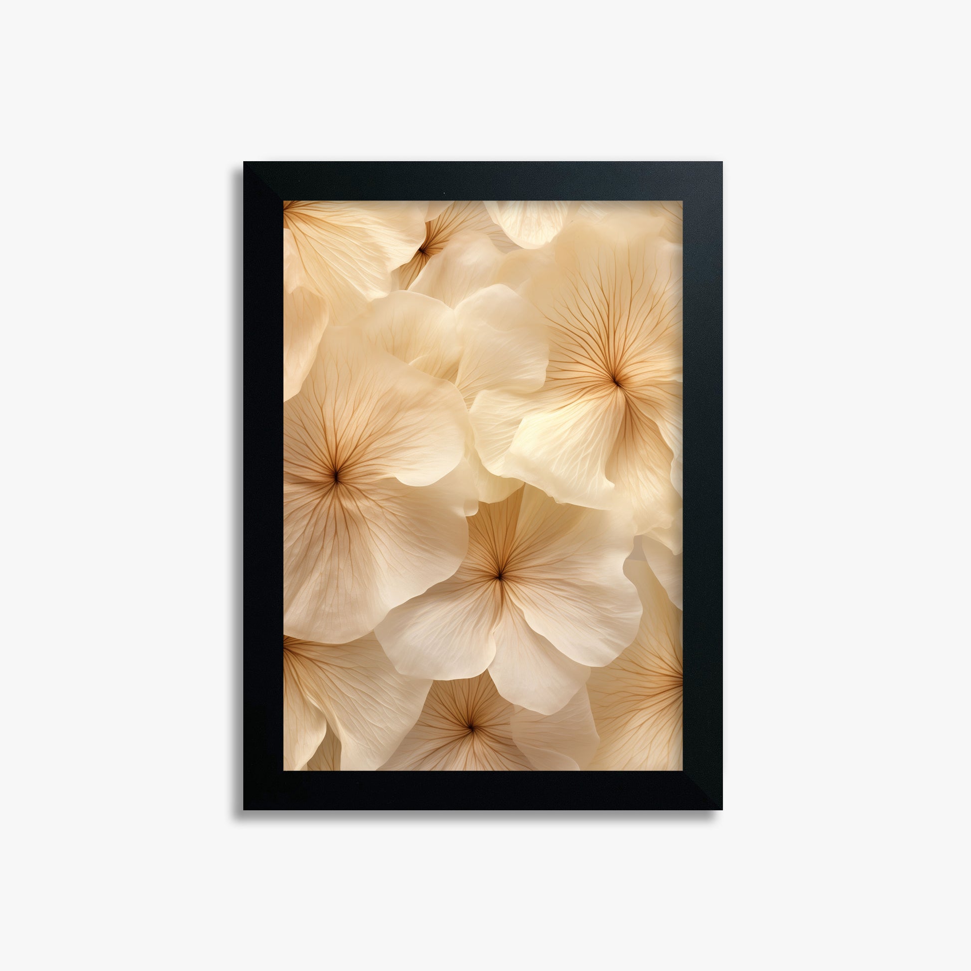 Ivory Blooms, 21x30cm Framed Poster With Black Frame
