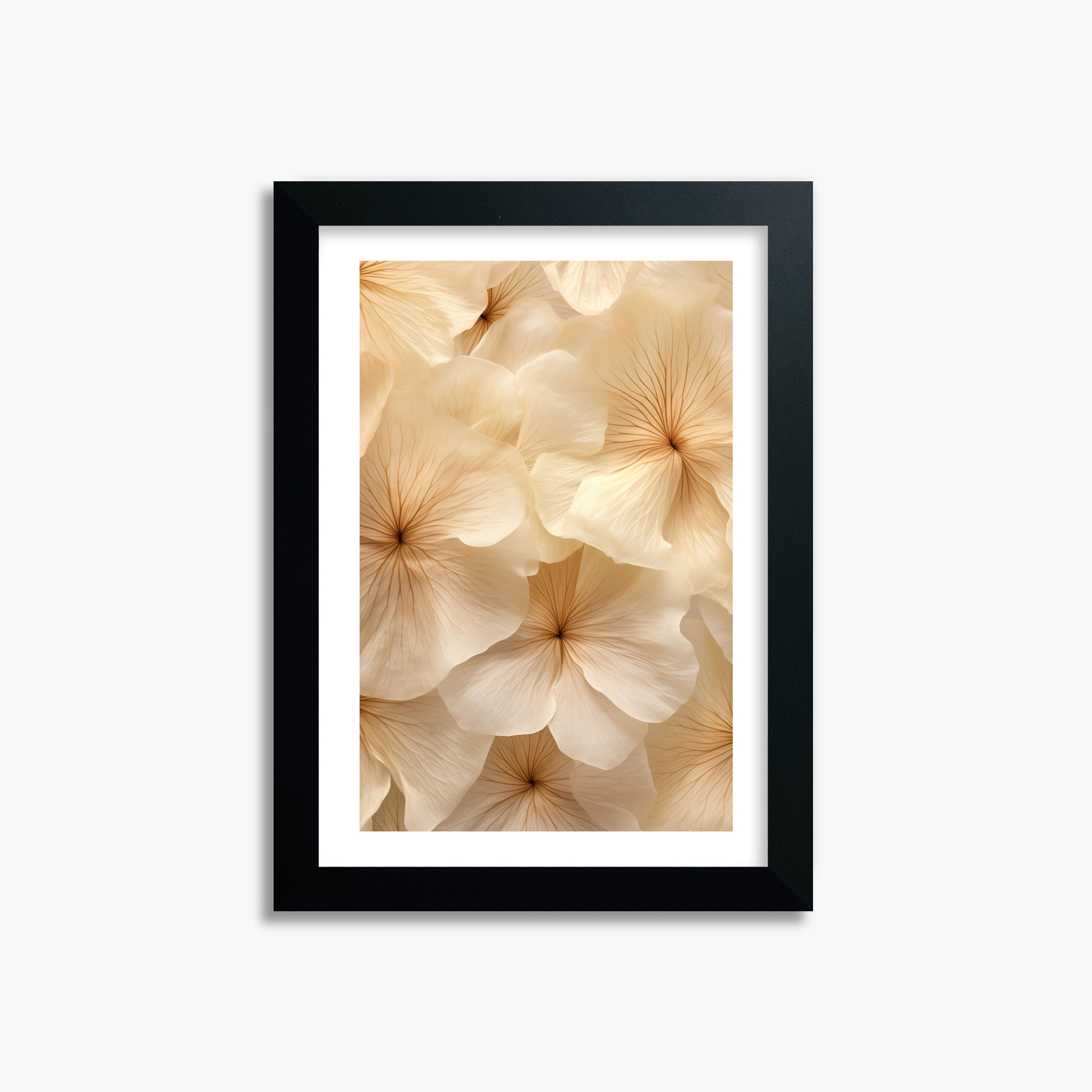 Ivory Blooms, 21x30cm Framed Poster With Black Frame