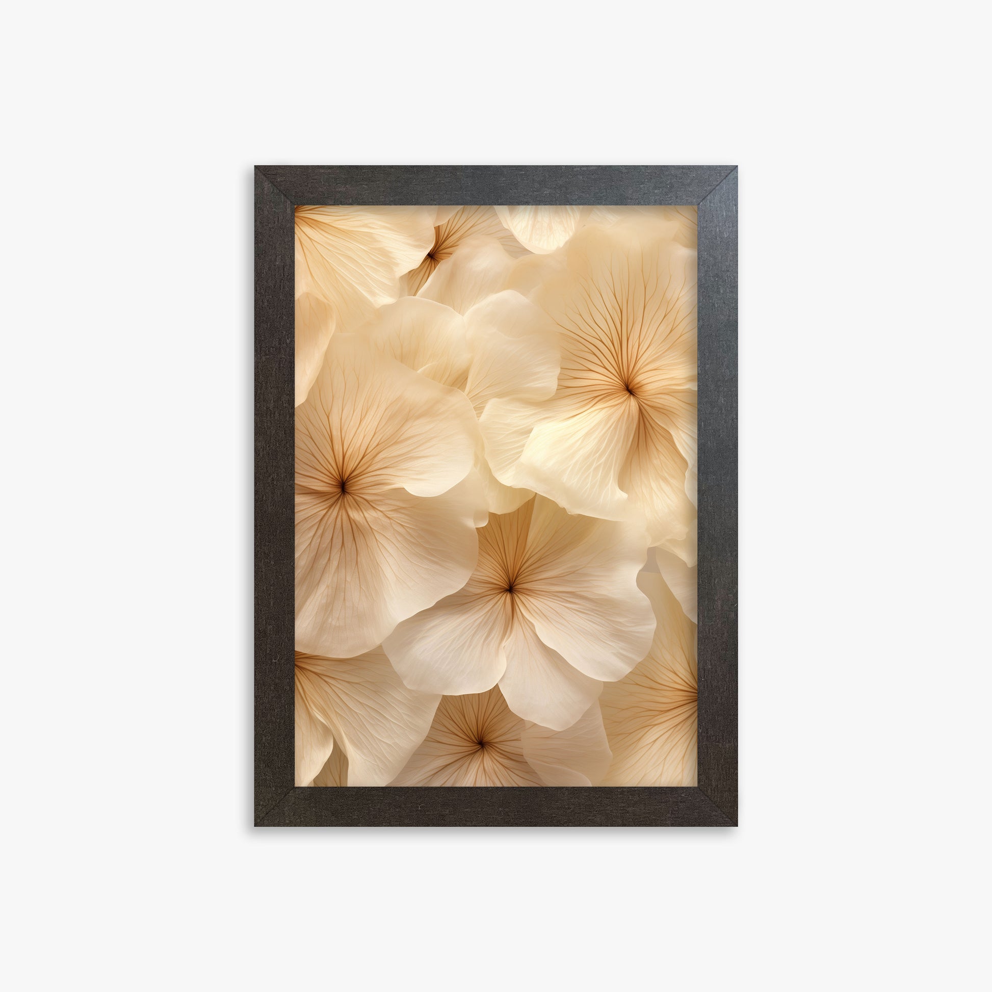 Ivory Blooms, 21x30cm Framed Poster With Espresso Frame