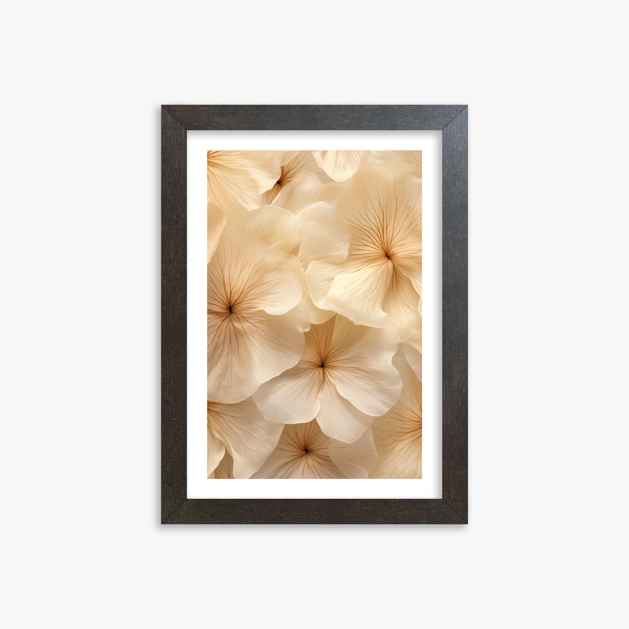 Ivory Blooms, 21x30cm Framed Poster With Espresso Frame