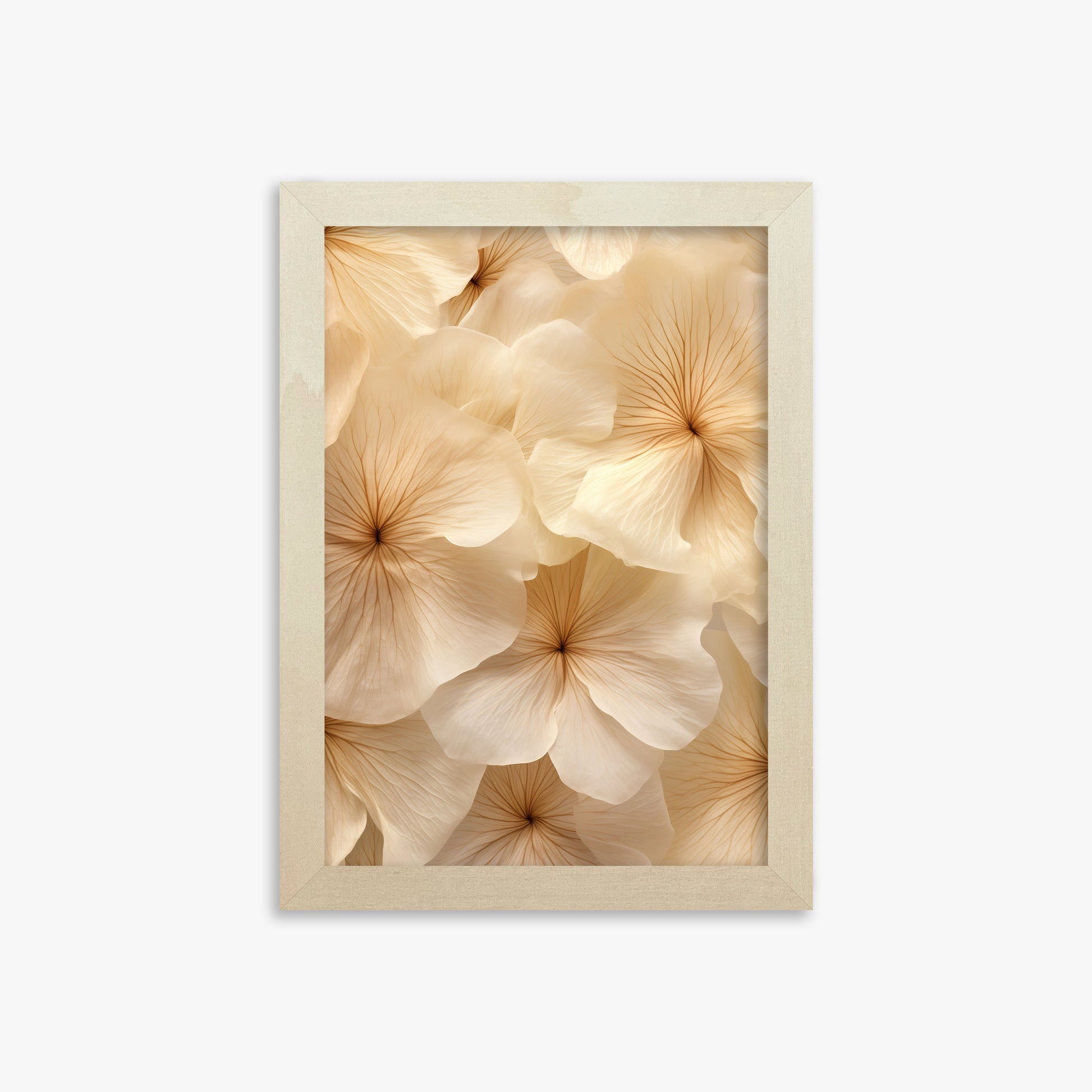 Ivory Blooms, 21x30cm Framed Poster With Lime Wood Frame