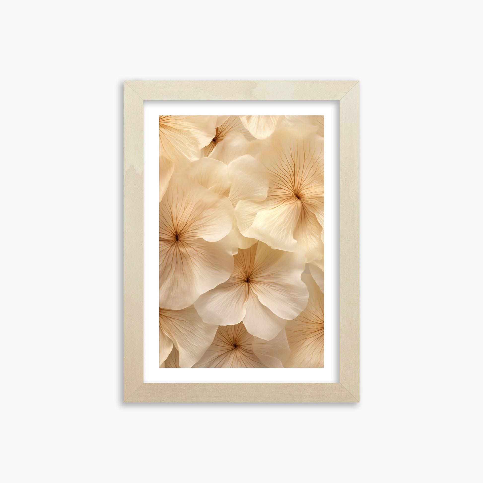 Ivory Blooms, 21x30cm Framed Poster With Lime Wood Frame