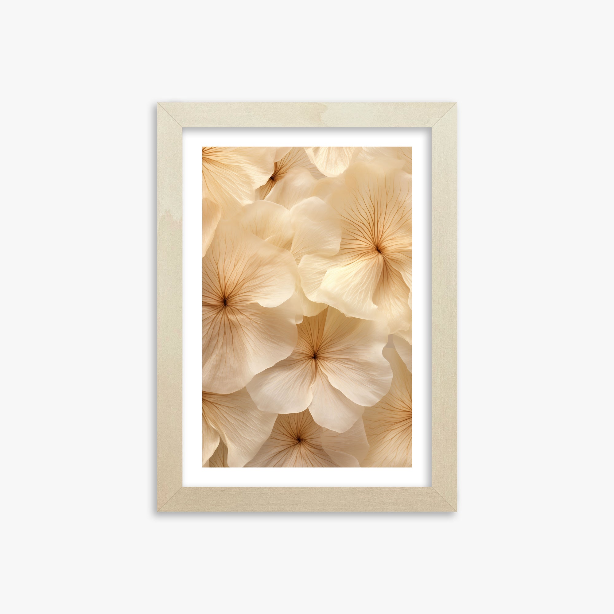 Ivory Blooms, 21x30cm Framed Poster With Lime Wood Frame