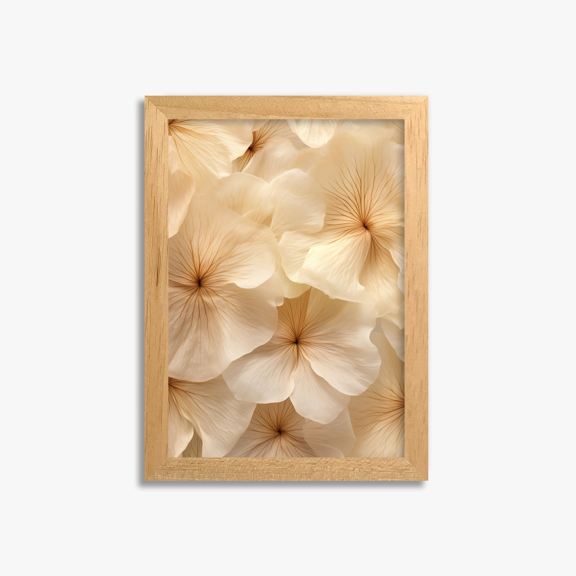 Ivory Blooms, 21x30cm Framed Poster With Oak Frame