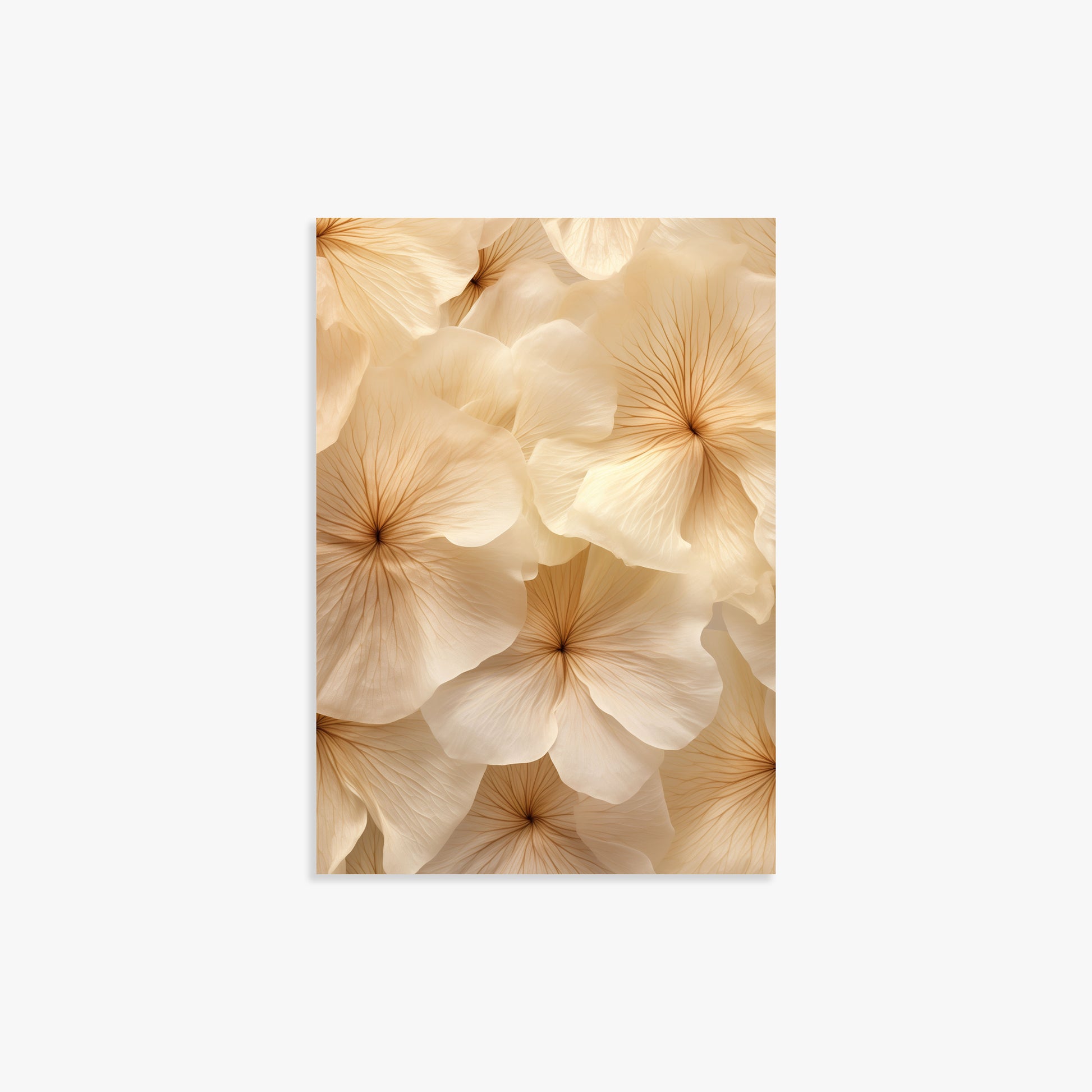 Ivory Blooms, 21x30cm Poster Unframed