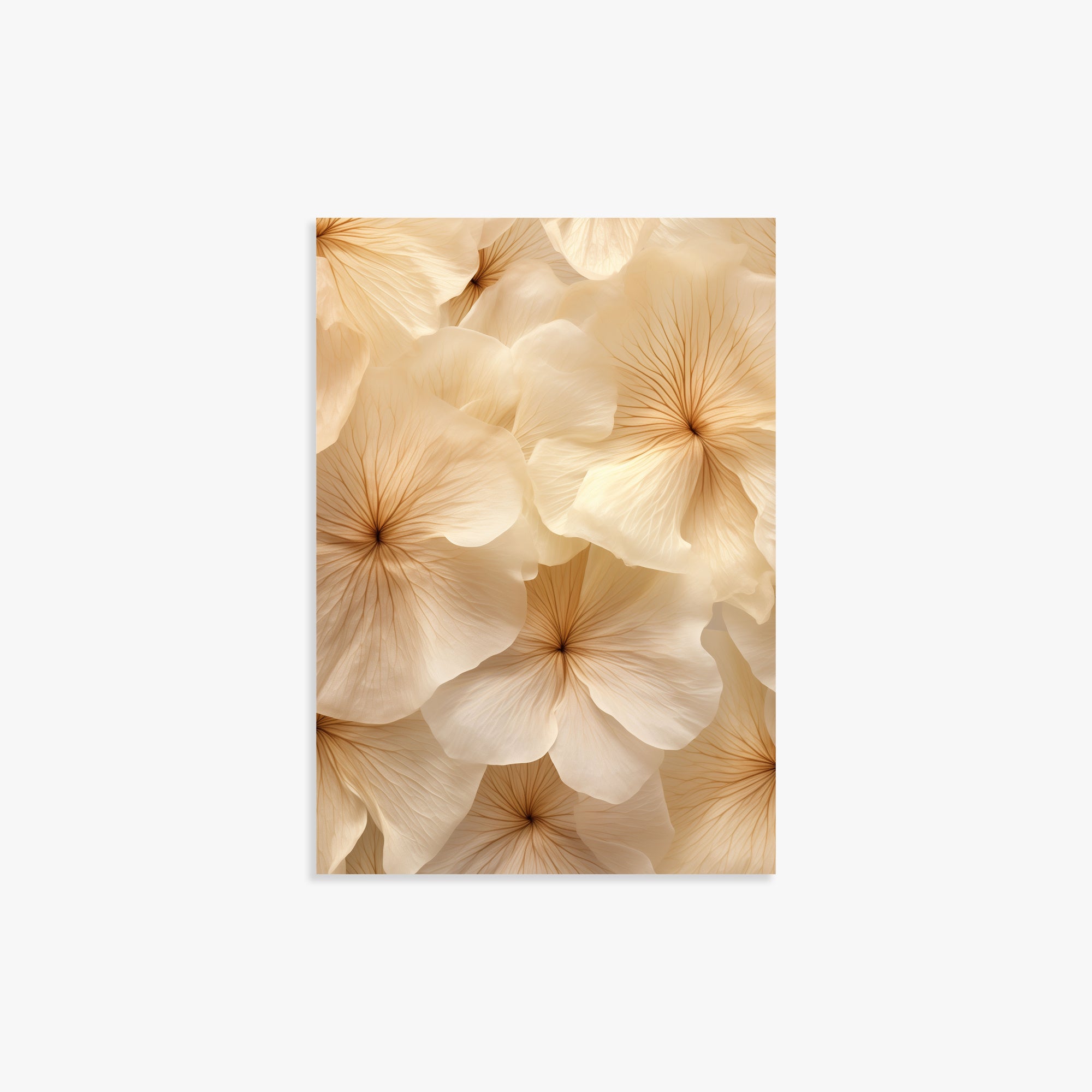 Ivory Blooms, 21x30cm Poster Unframed