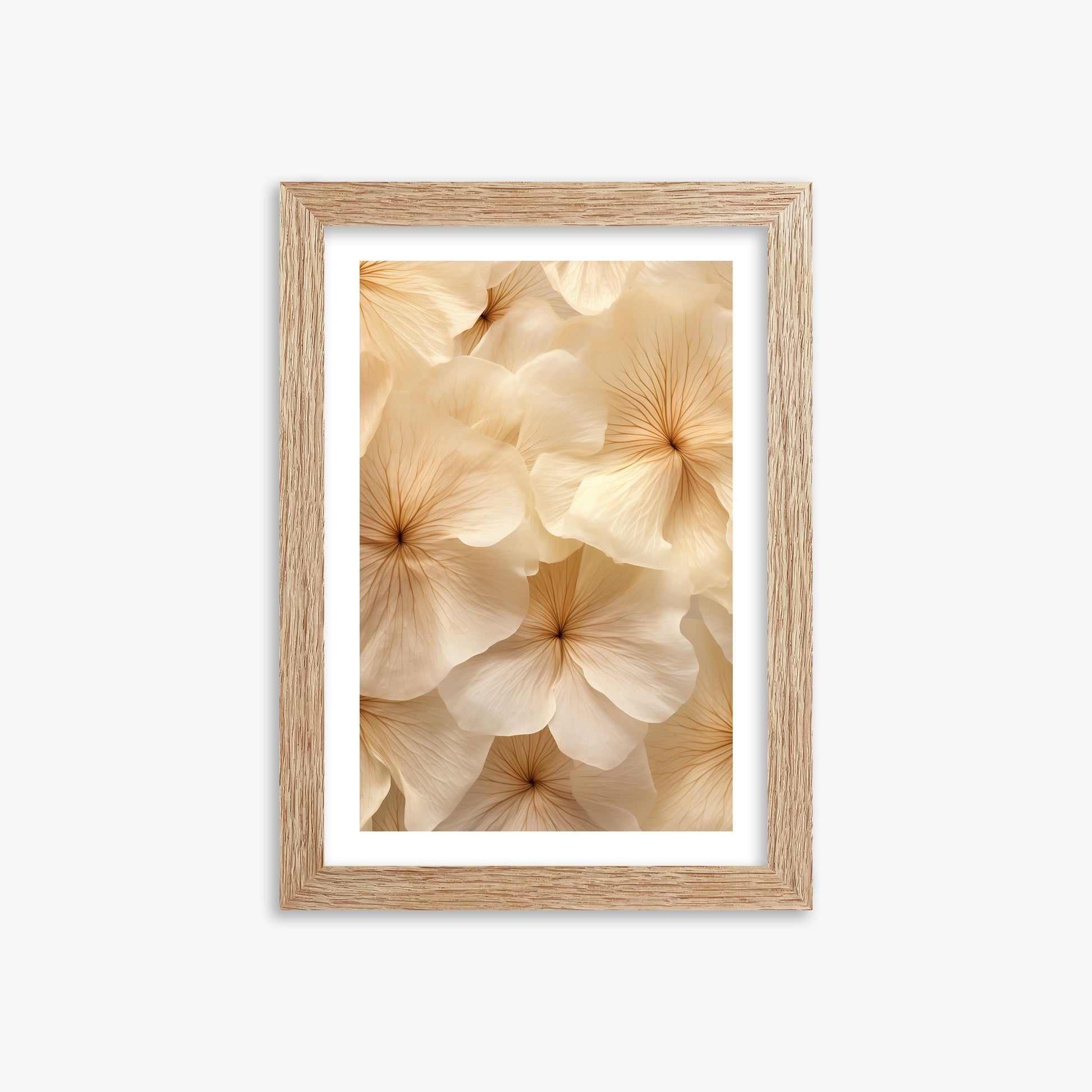 Ivory Blooms, 21x30cm Framed Poster With Raw Oak Frame