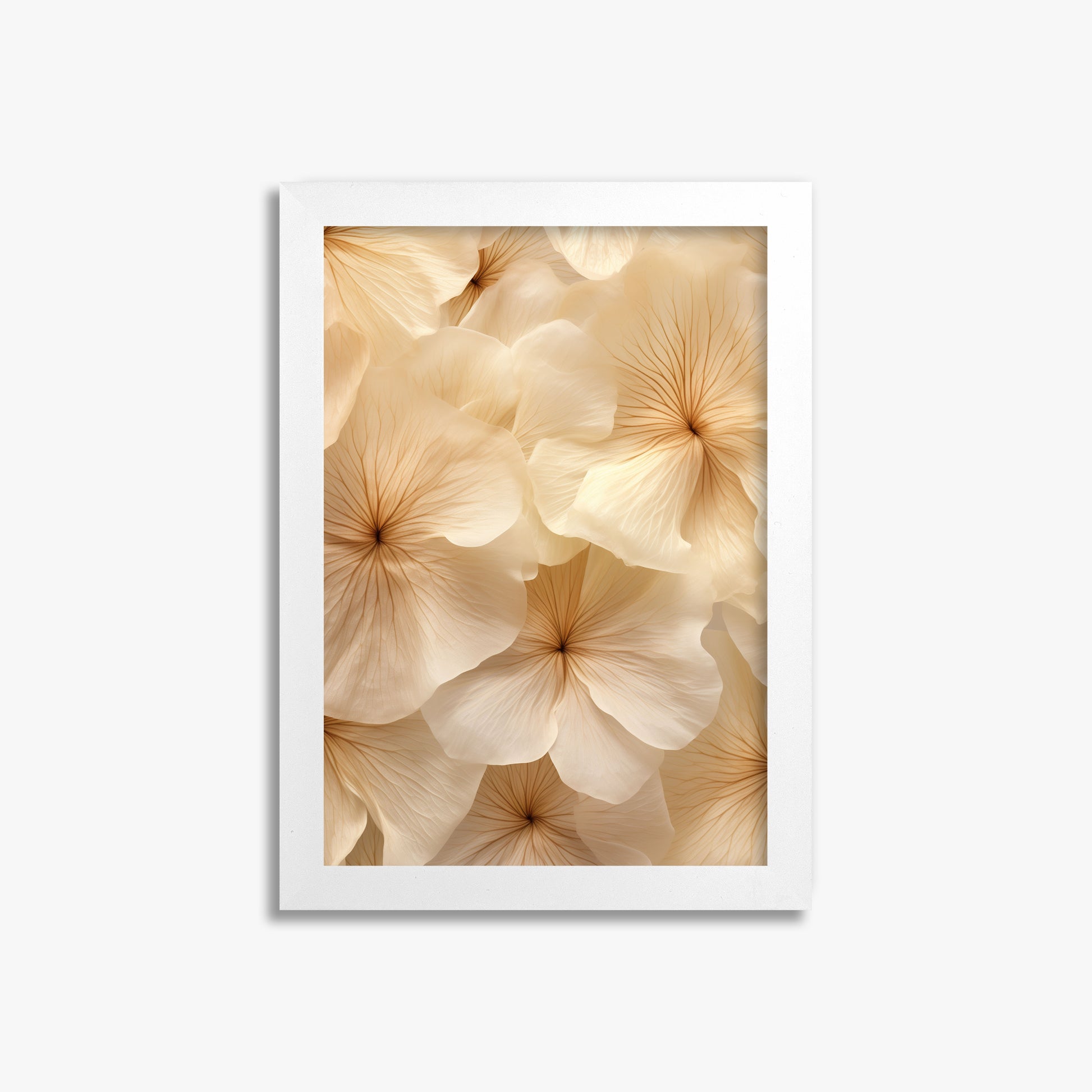 Ivory Blooms, 21x30cm Framed Poster With White Frame