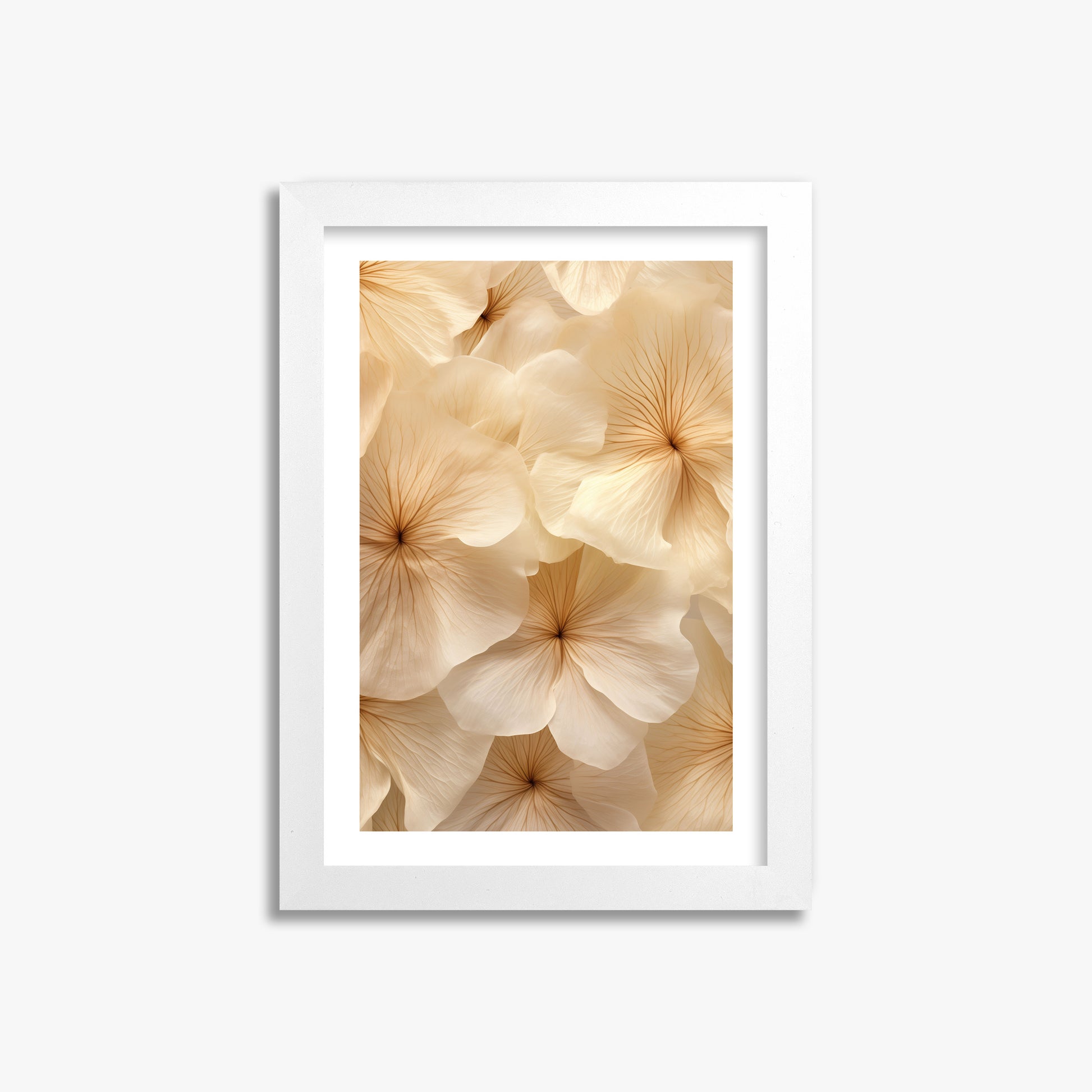 Ivory Blooms, 21x30cm Framed Poster With White Frame