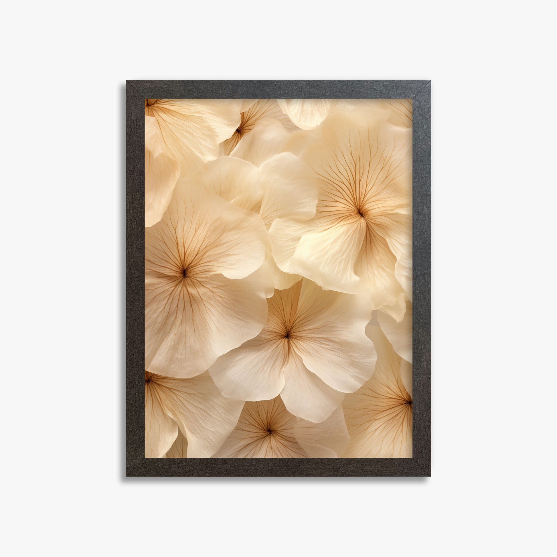 Ivory Blooms, 30x40cm Framed Poster With Espresso Frame