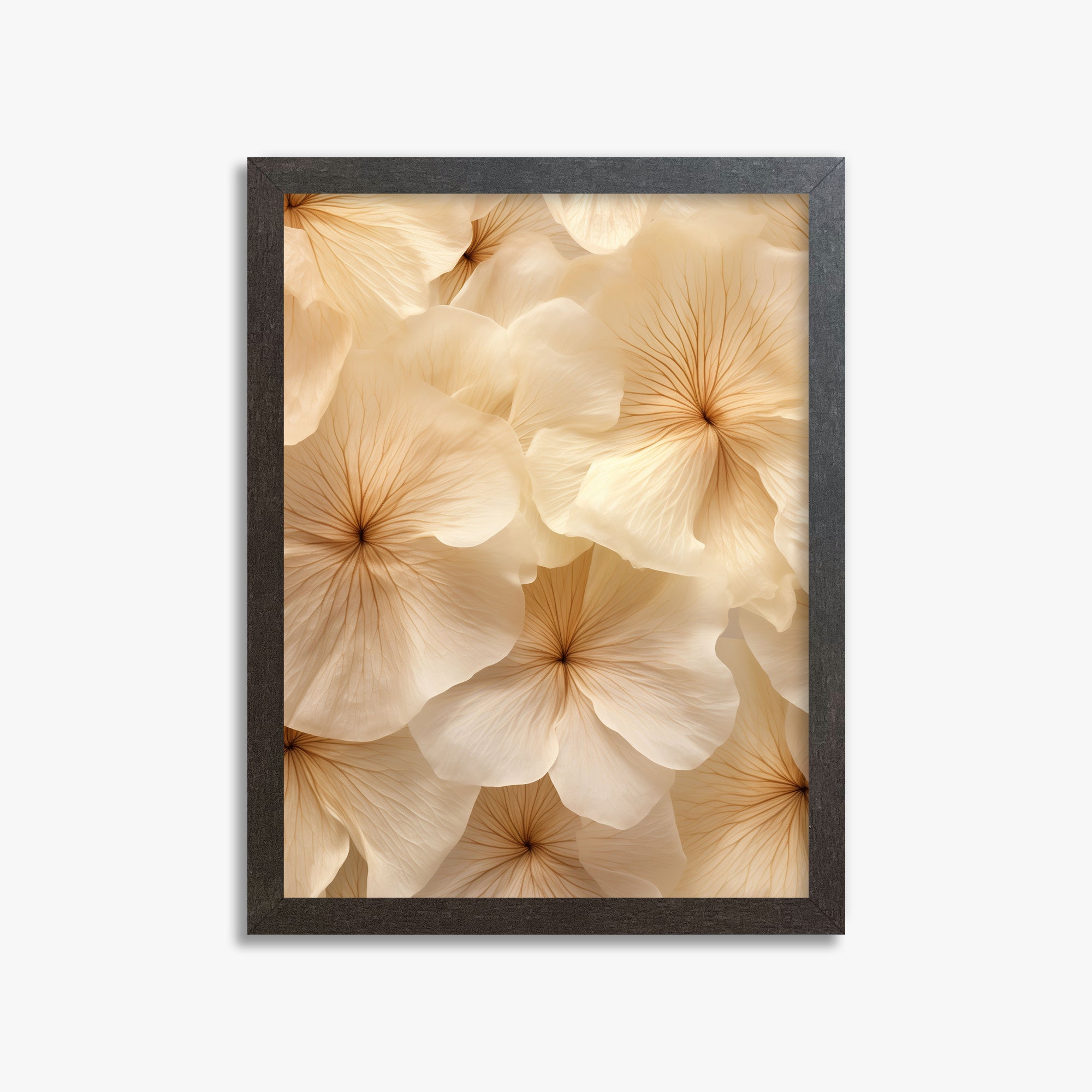 Ivory Blooms, 30x40cm Framed Poster With Espresso Frame
