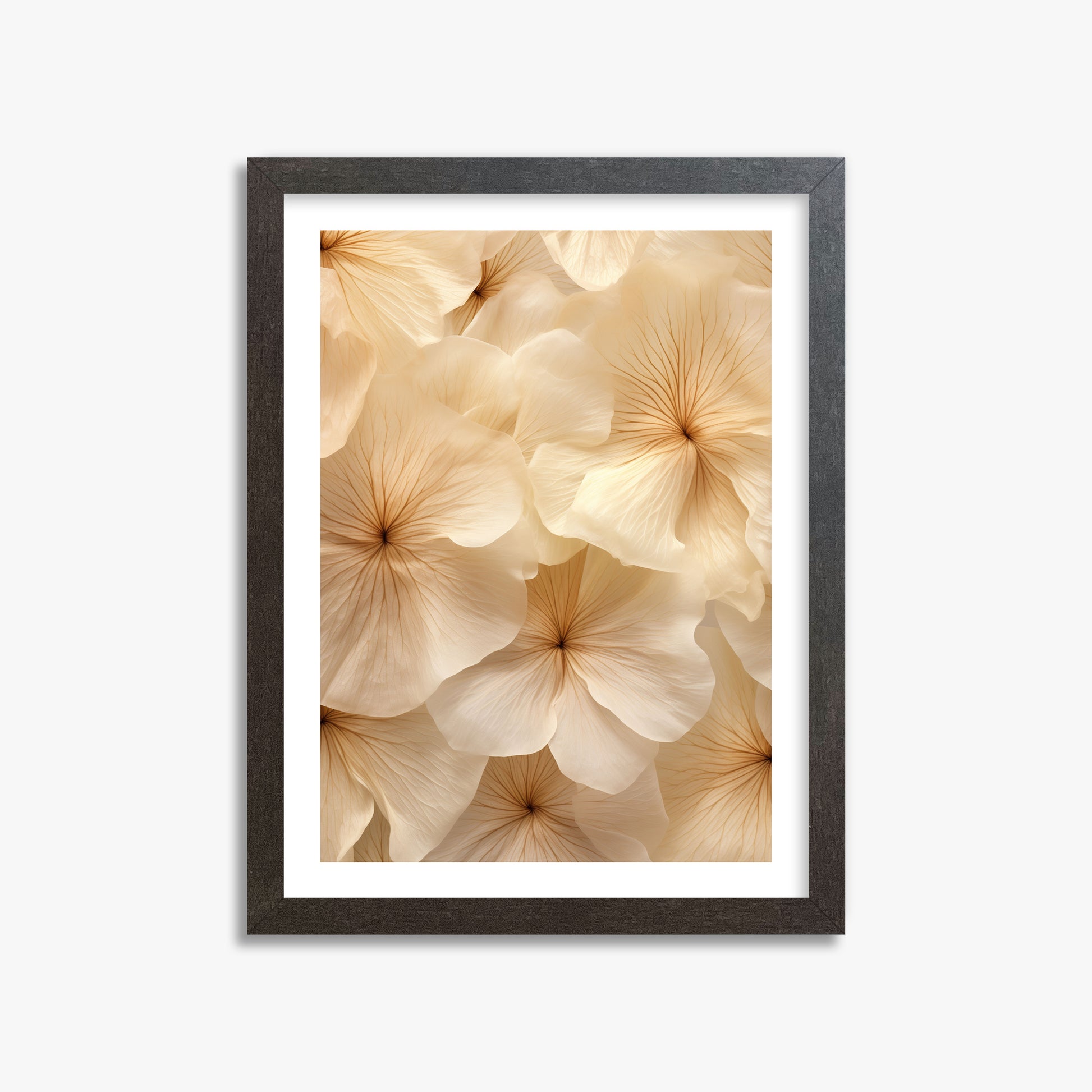 Ivory Blooms, 30x40cm Framed Poster With Espresso Frame