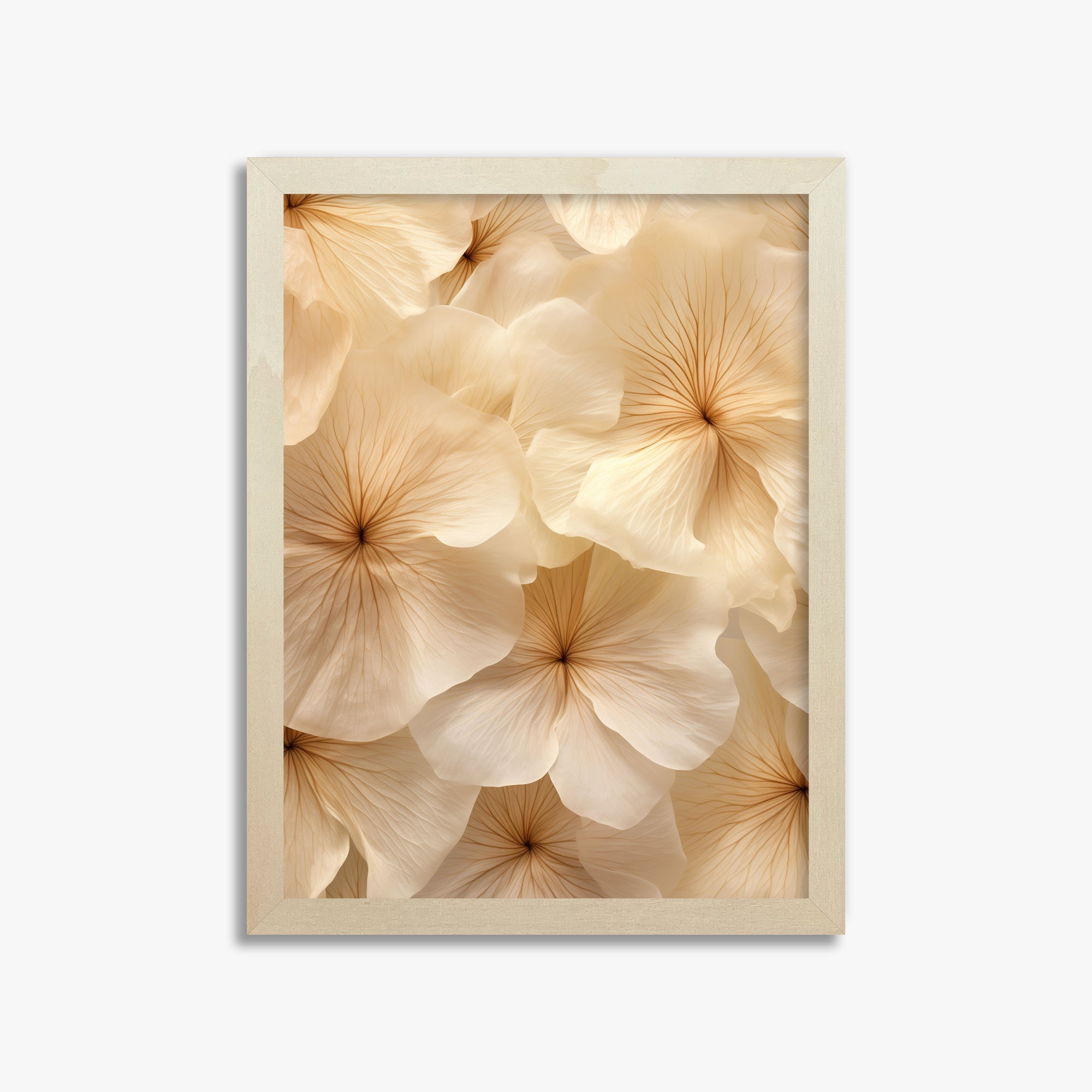 Ivory Blooms, 30x40cm Framed Poster With Lime Wood Frame