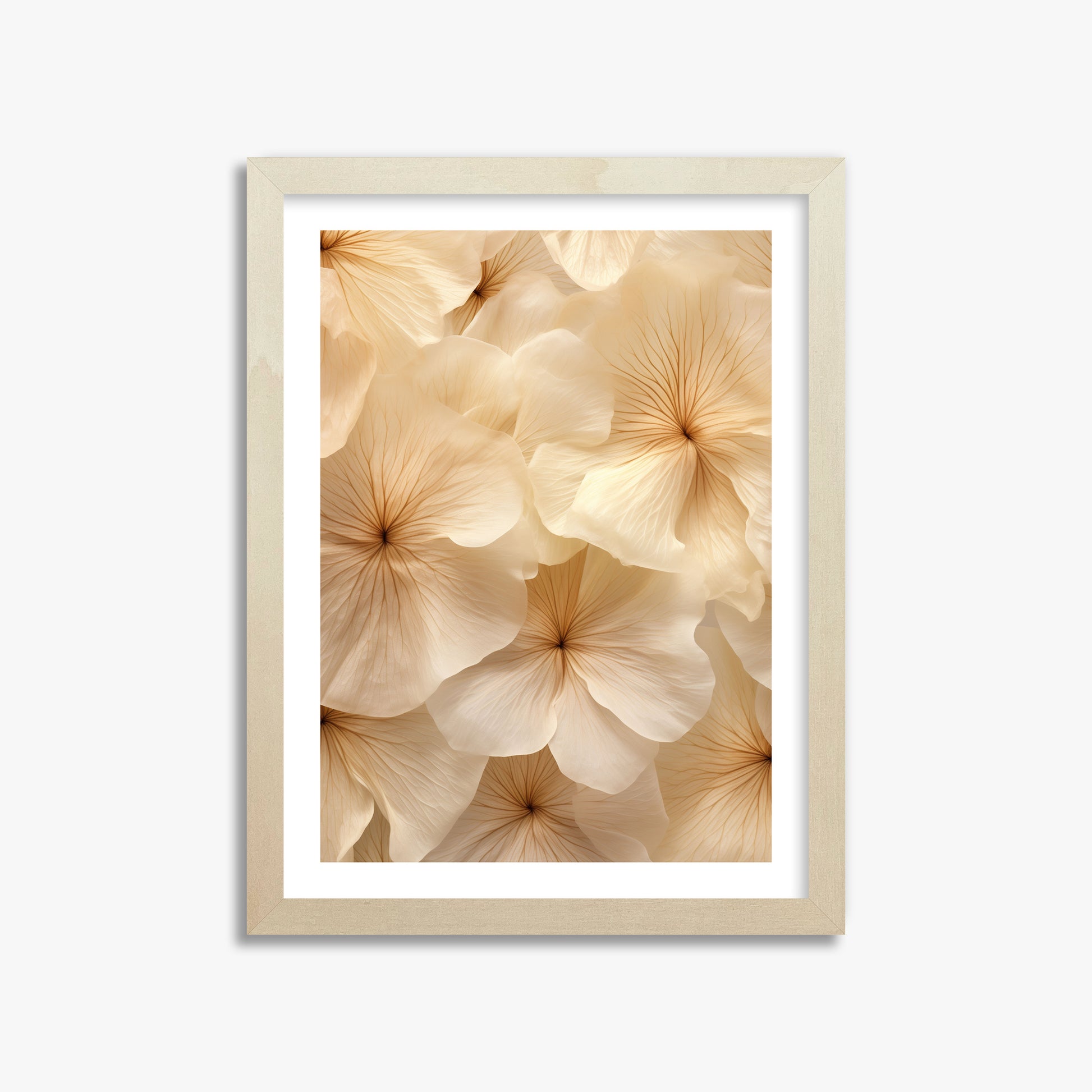 Ivory Blooms, 30x40cm Framed Poster With Lime Wood Frame