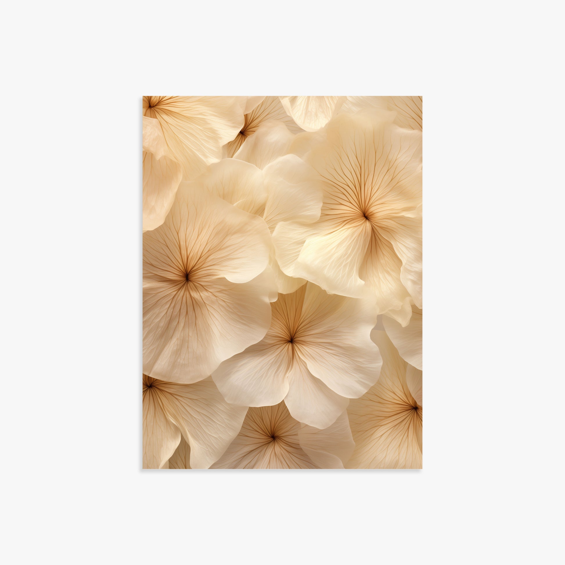Ivory Blooms, 30x40cm Poster Unframed
