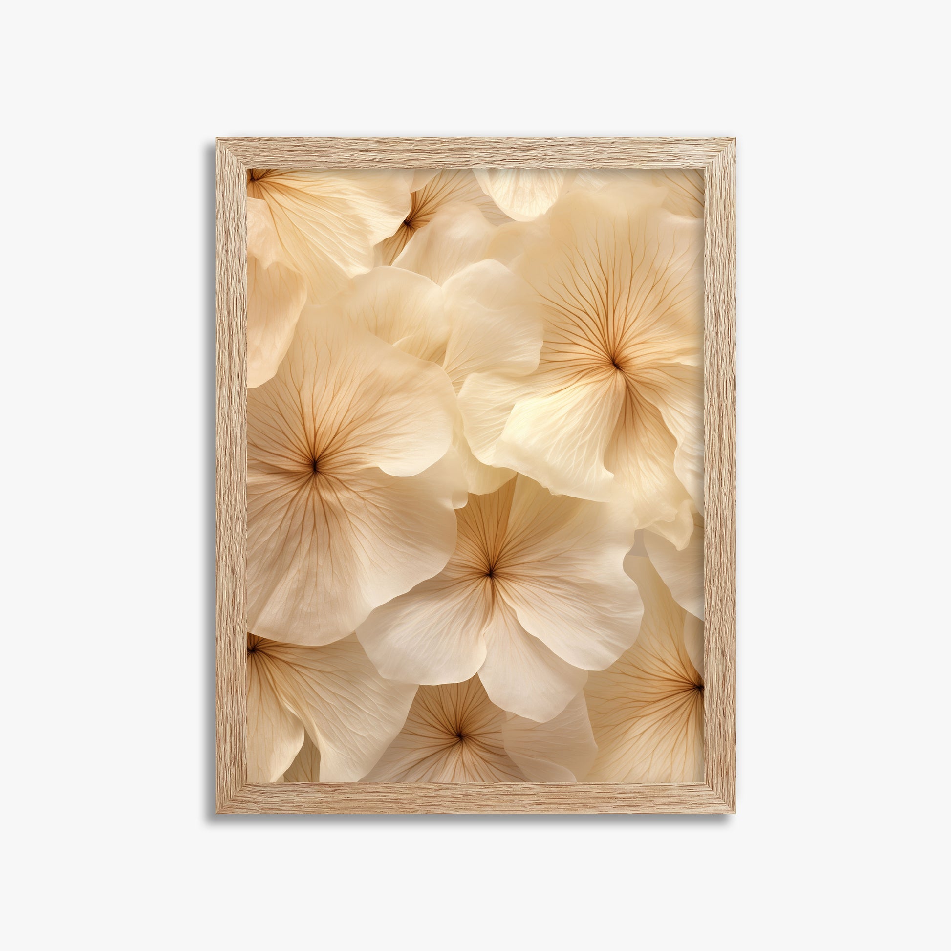 Ivory Blooms, 30x40cm Framed Poster With Raw Oak Frame